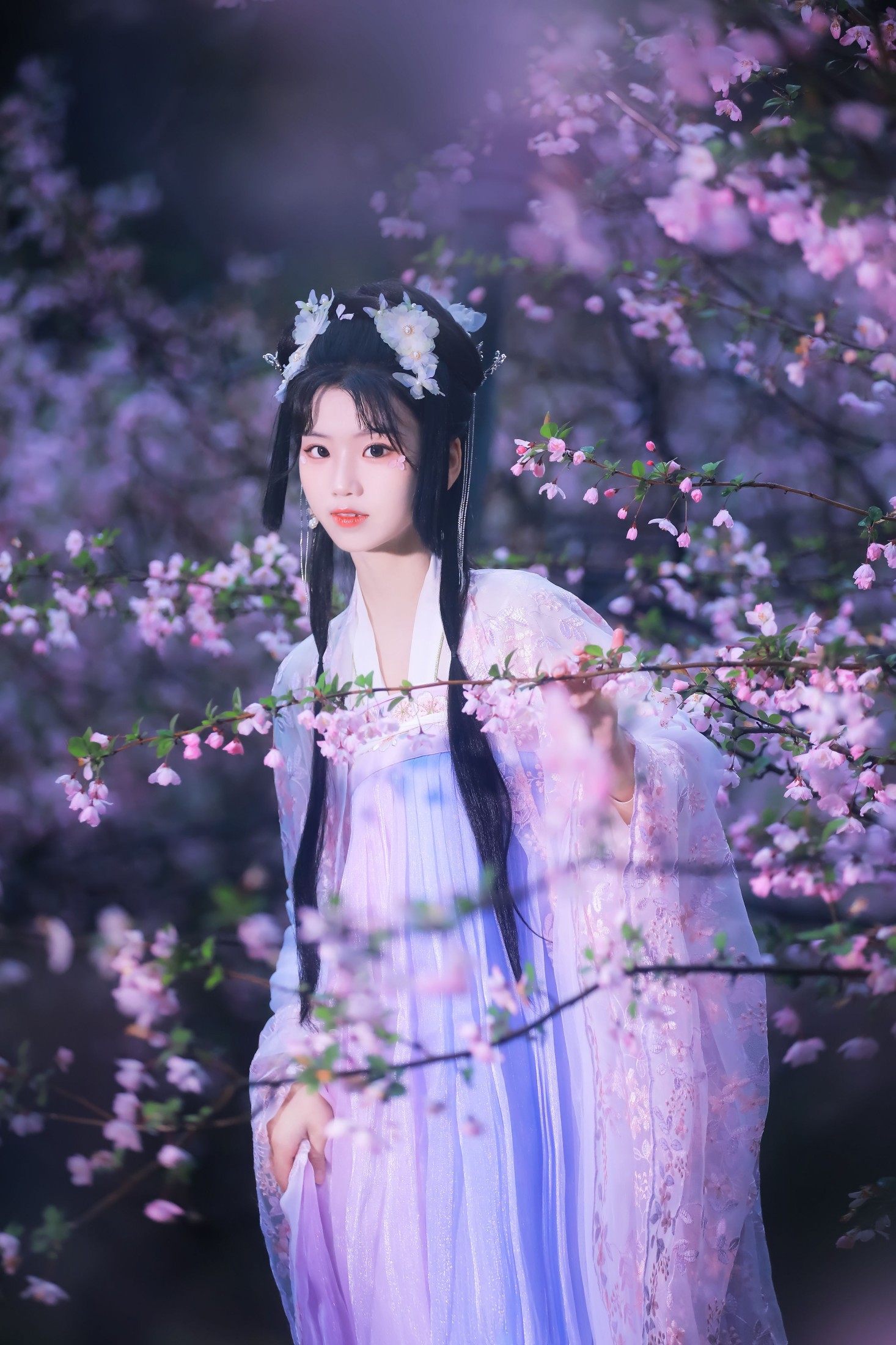 图片[3] - 周周Ay - 《海棠依旧》[26P] - 机器猫次元 - 机器猫次元
