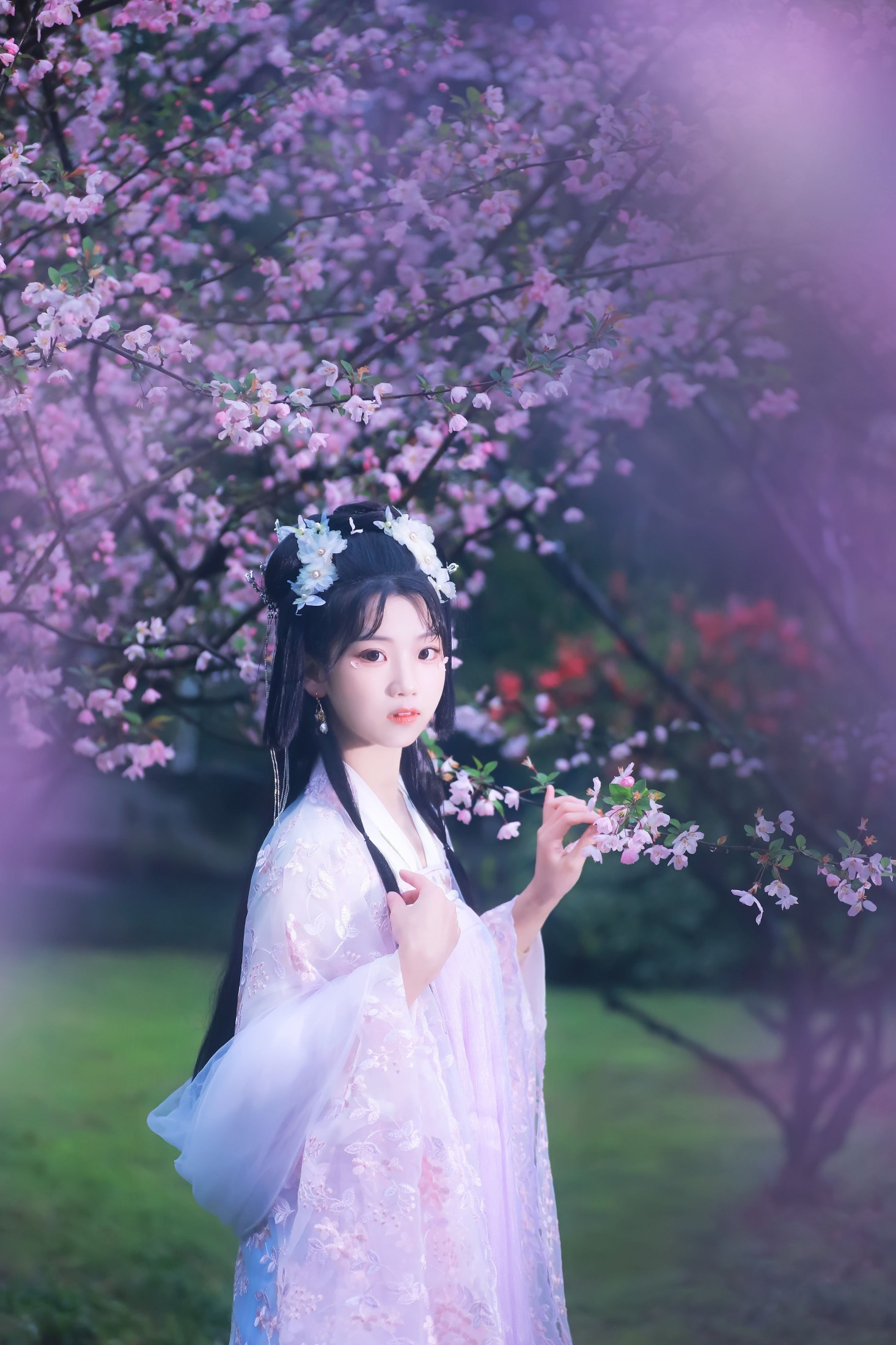 图片[6] - 周周Ay - 《海棠依旧》[26P] - 机器猫次元 - 机器猫次元