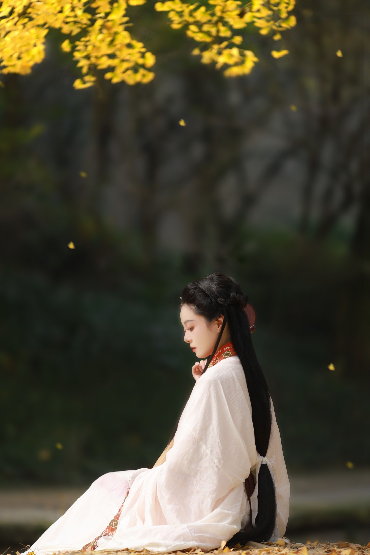 图片[4] - 岁岁如意 - 《秋之色》[22P] - 机器猫次元 - 机器猫次元