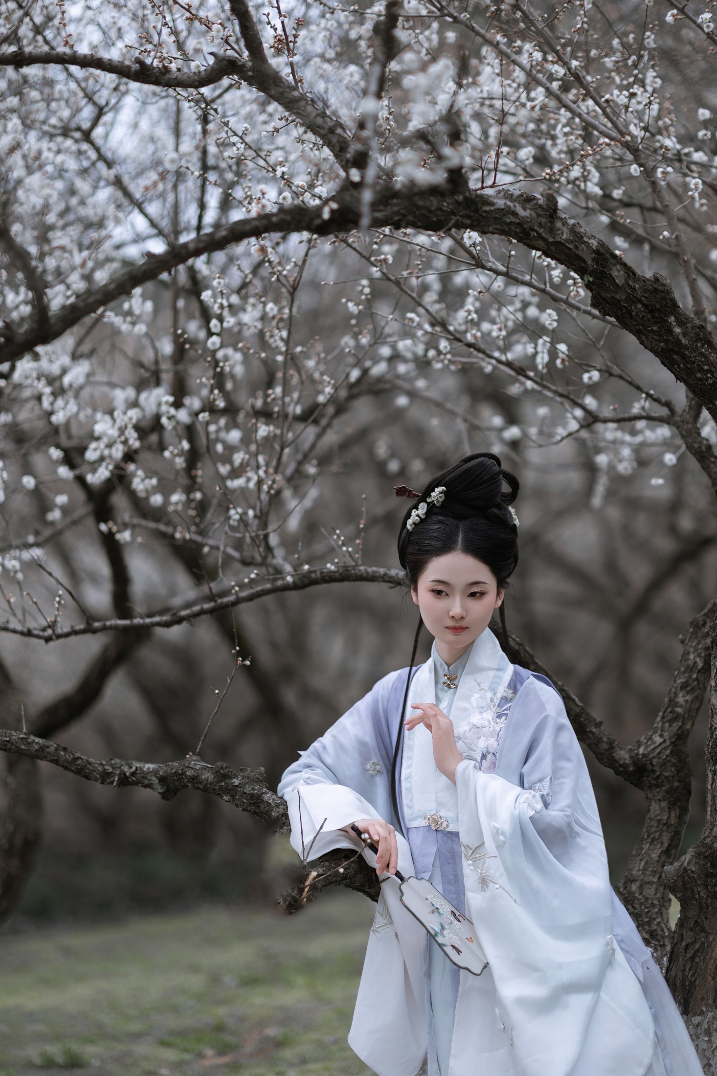 图片[7] - 汀贰 - 《问梅》[32P] - 机器猫次元 - 机器猫次元