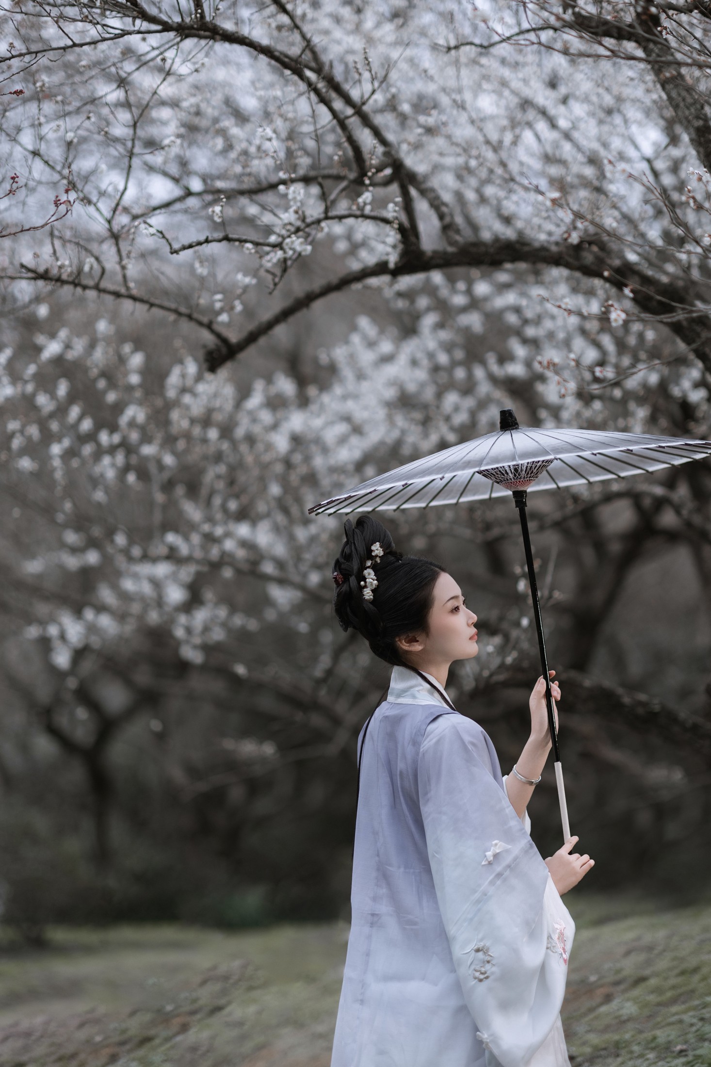 图片[5] - 汀贰 - 《问梅》[32P] - 机器猫次元 - 机器猫次元