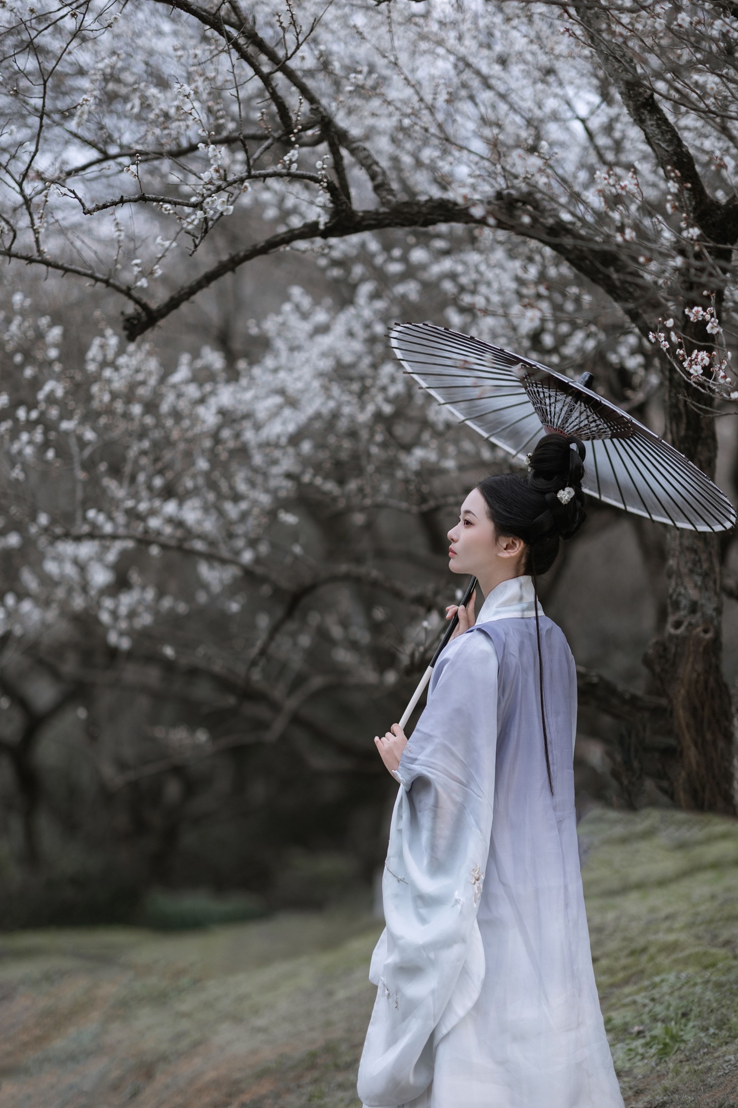 图片[6] - 汀贰 - 《问梅》[32P] - 机器猫次元 - 机器猫次元