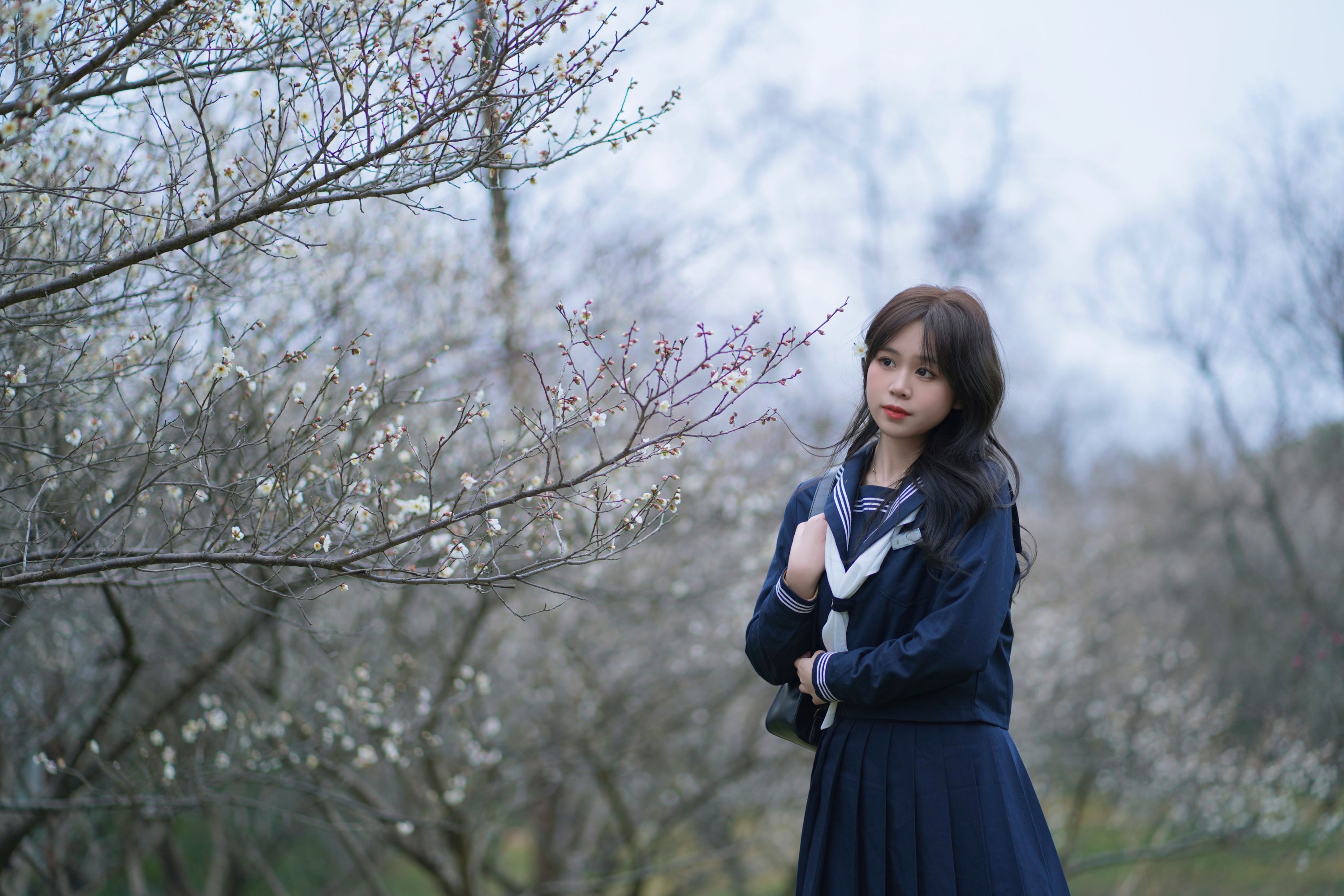 图片[3] - 泡芙小方 - 《梅花树下》[26P] - 机器猫次元 - 机器猫次元