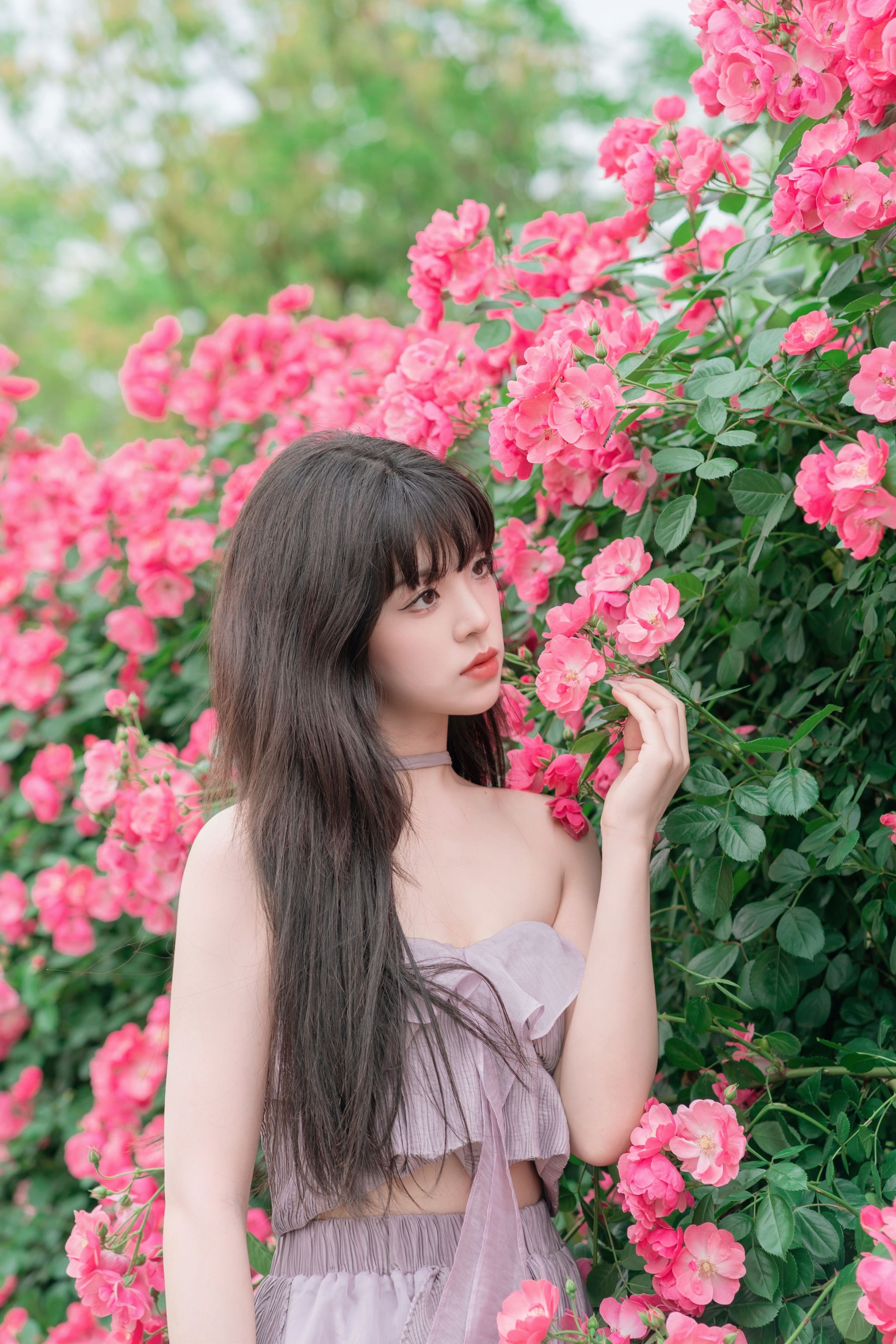 图片[4] - 赛西西莉吗 - 《让花盛开》[37P] - 机器猫次元 - 机器猫次元