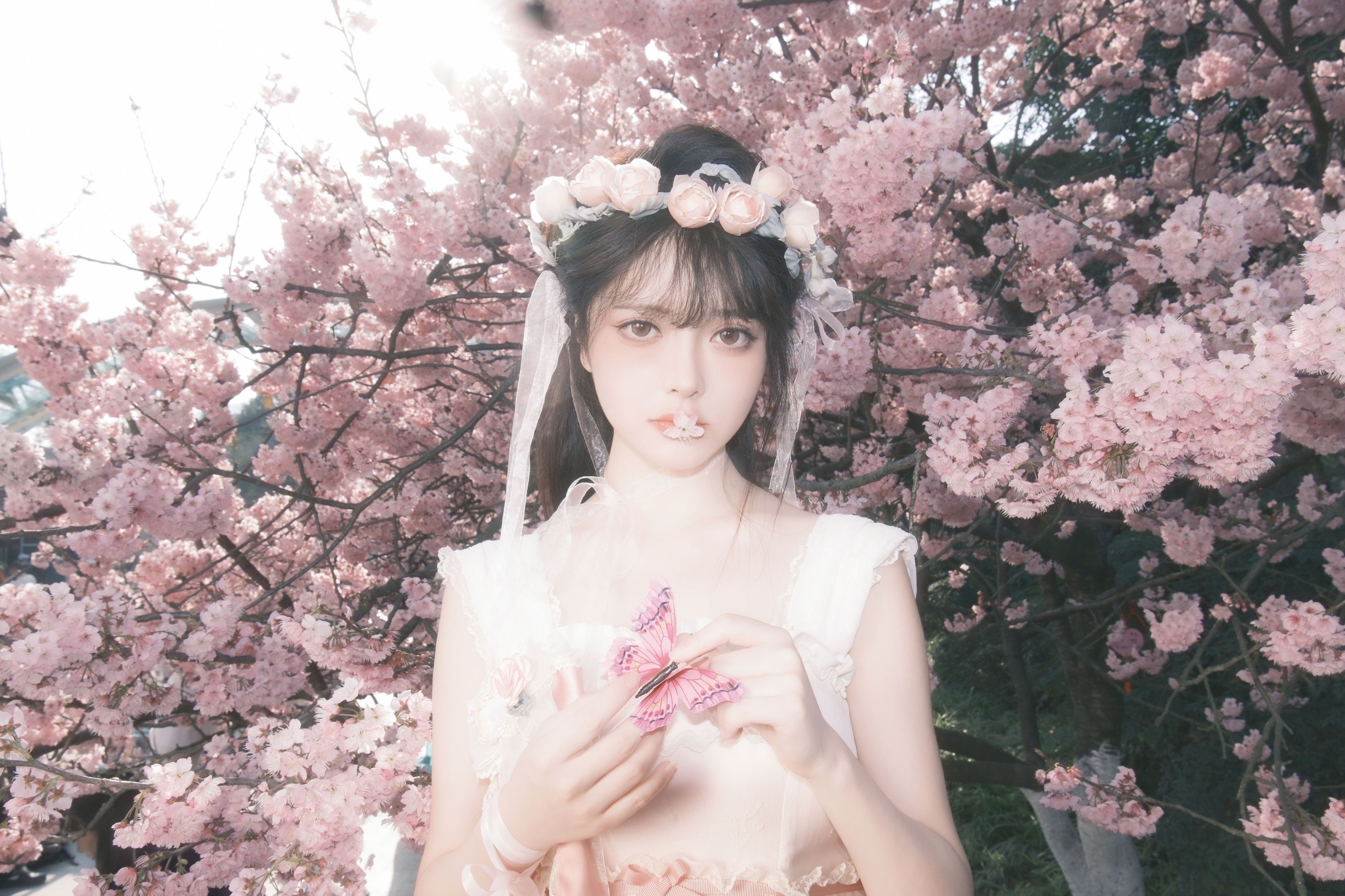 图片[5] - 星之卡桃 - 《樱花少女梦》[28P] - 机器猫次元 - 机器猫次元