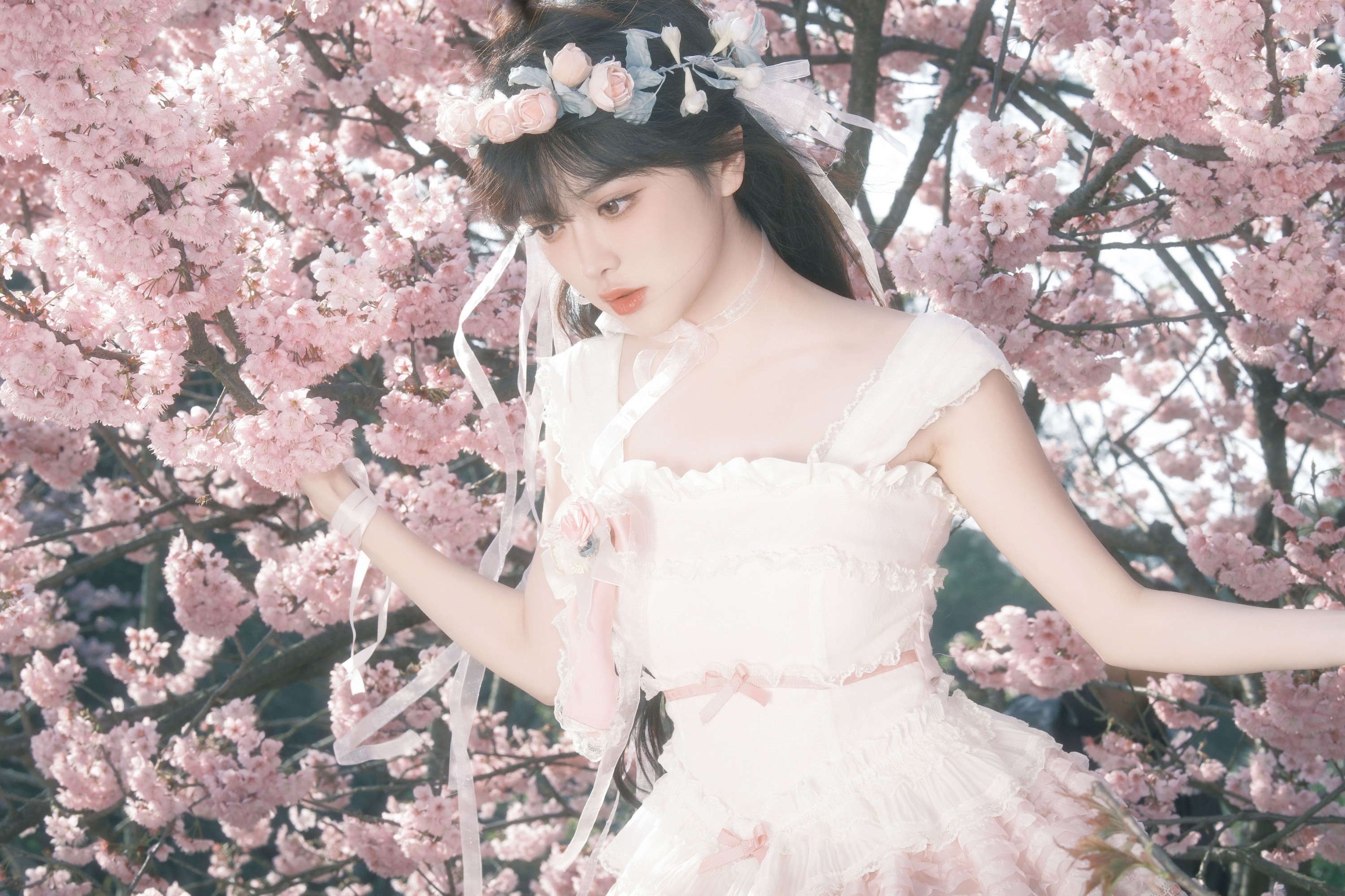 图片[4] - 星之卡桃 - 《樱花少女梦》[28P] - 机器猫次元 - 机器猫次元