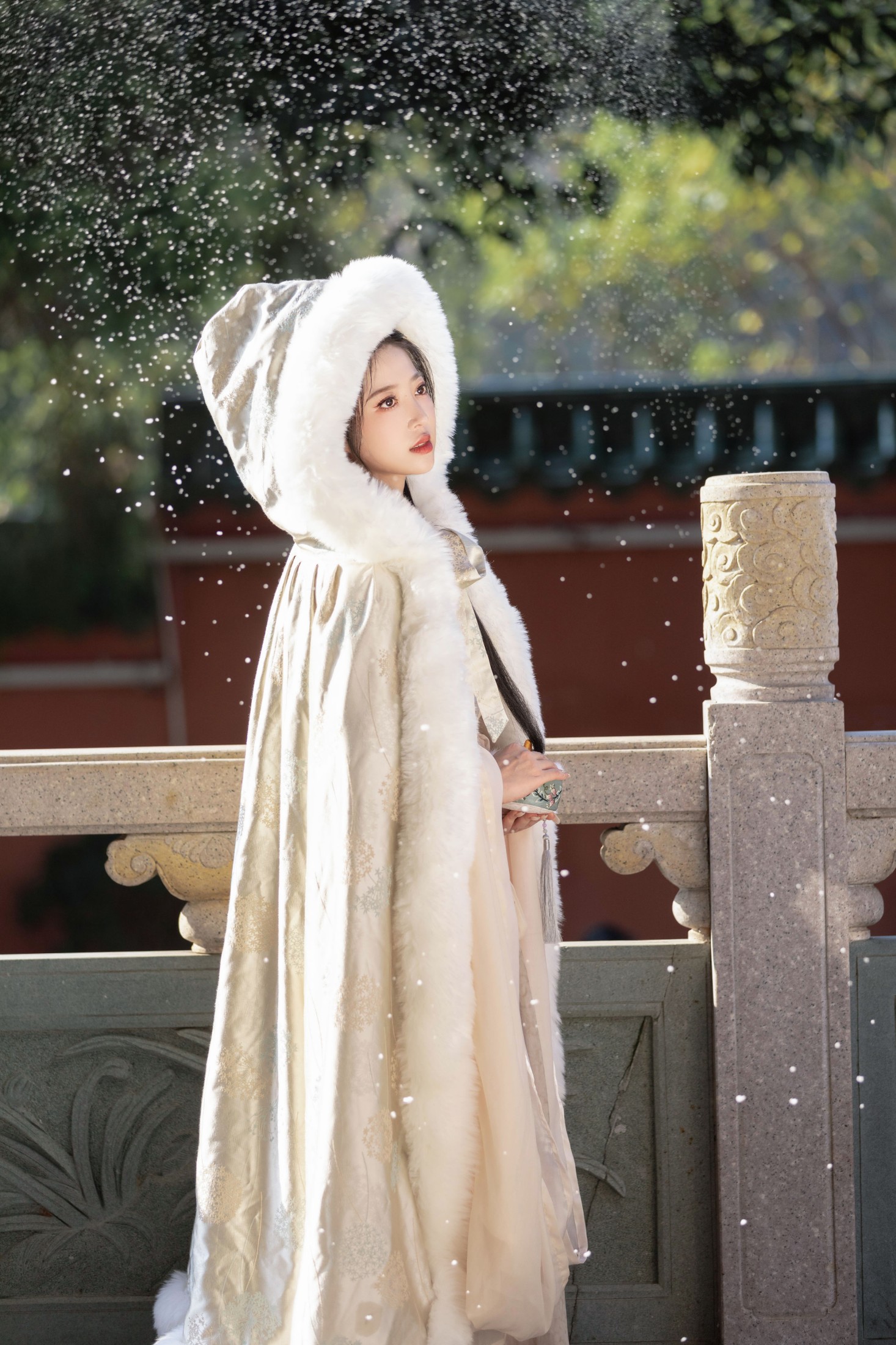 图片[6] - 诗诗呀 - 《落雪》[22P] - 机器猫次元 - 机器猫次元