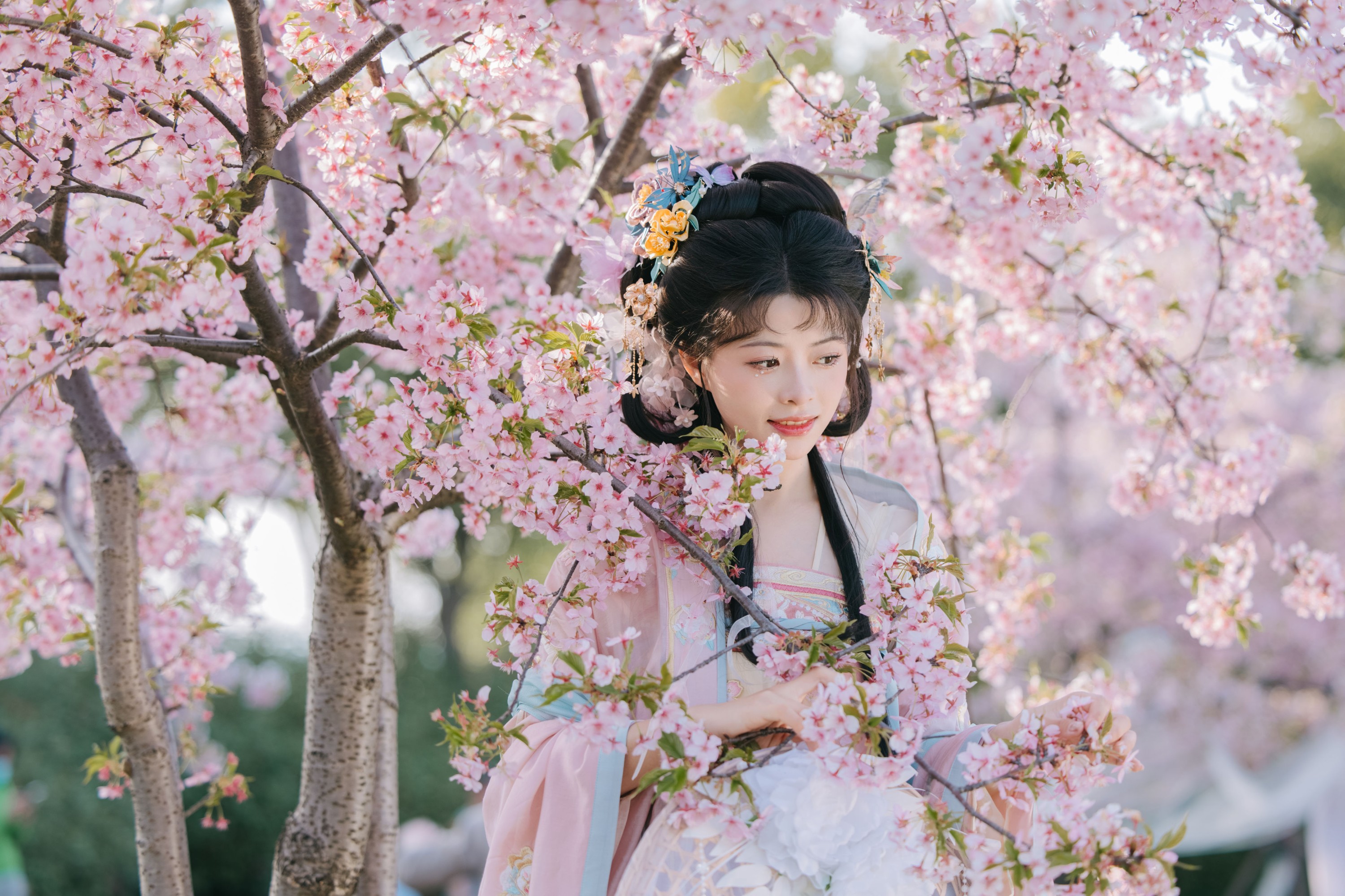 图片[5] - 姚姚 - 《樱花雨》[22P] - 机器猫次元 - 机器猫次元
