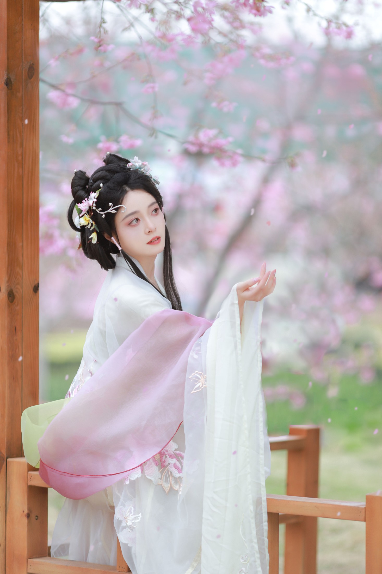 图片[3] - 岁岁如意 - 《樱花雨》[22P] - 机器猫次元 - 机器猫次元