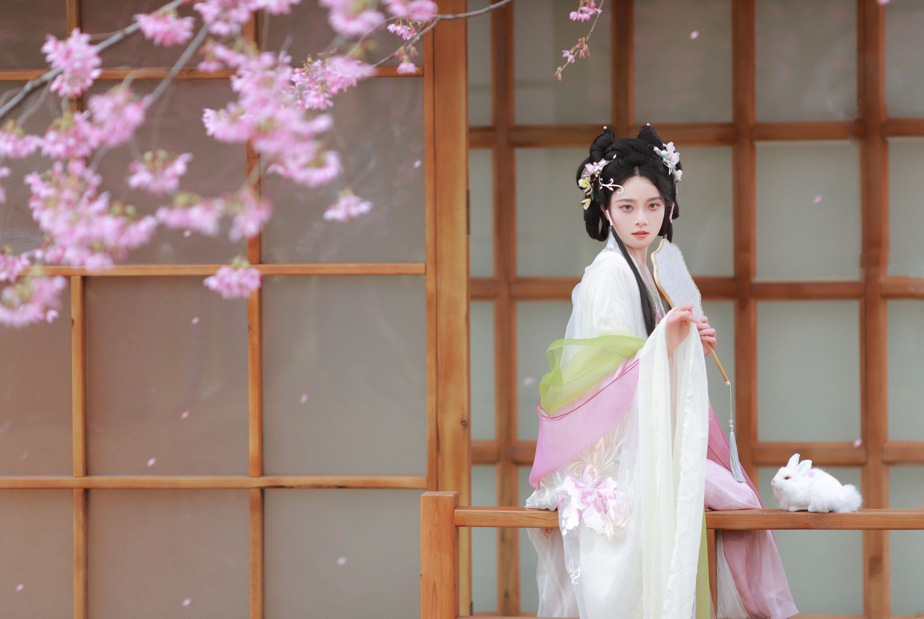 图片[4] - 岁岁如意 - 《樱花雨》[22P] - 机器猫次元 - 机器猫次元