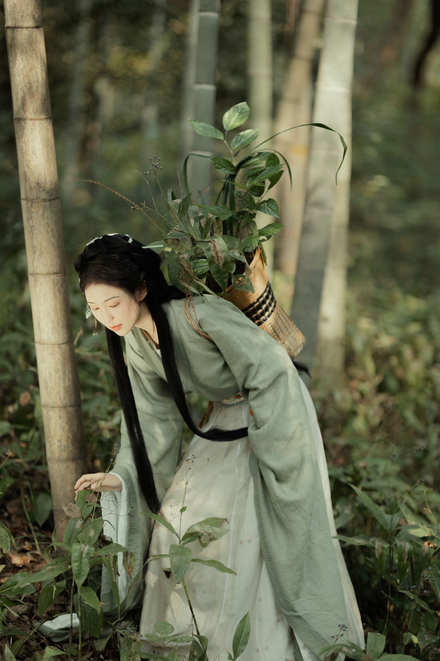 图片[5] - 折子语-阿语 - 《采药》[30P] - 机器猫次元 - 机器猫次元