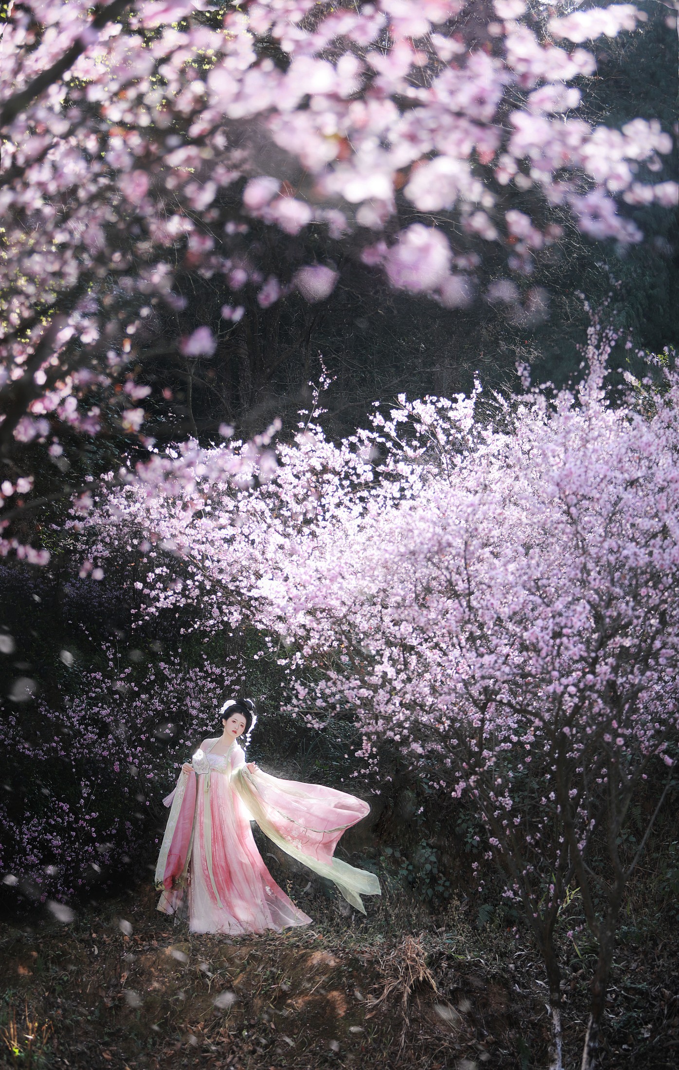 图片[6] - 一枝眠眠 - 《春有百花秋有月》[25P] - 机器猫次元 - 机器猫次元