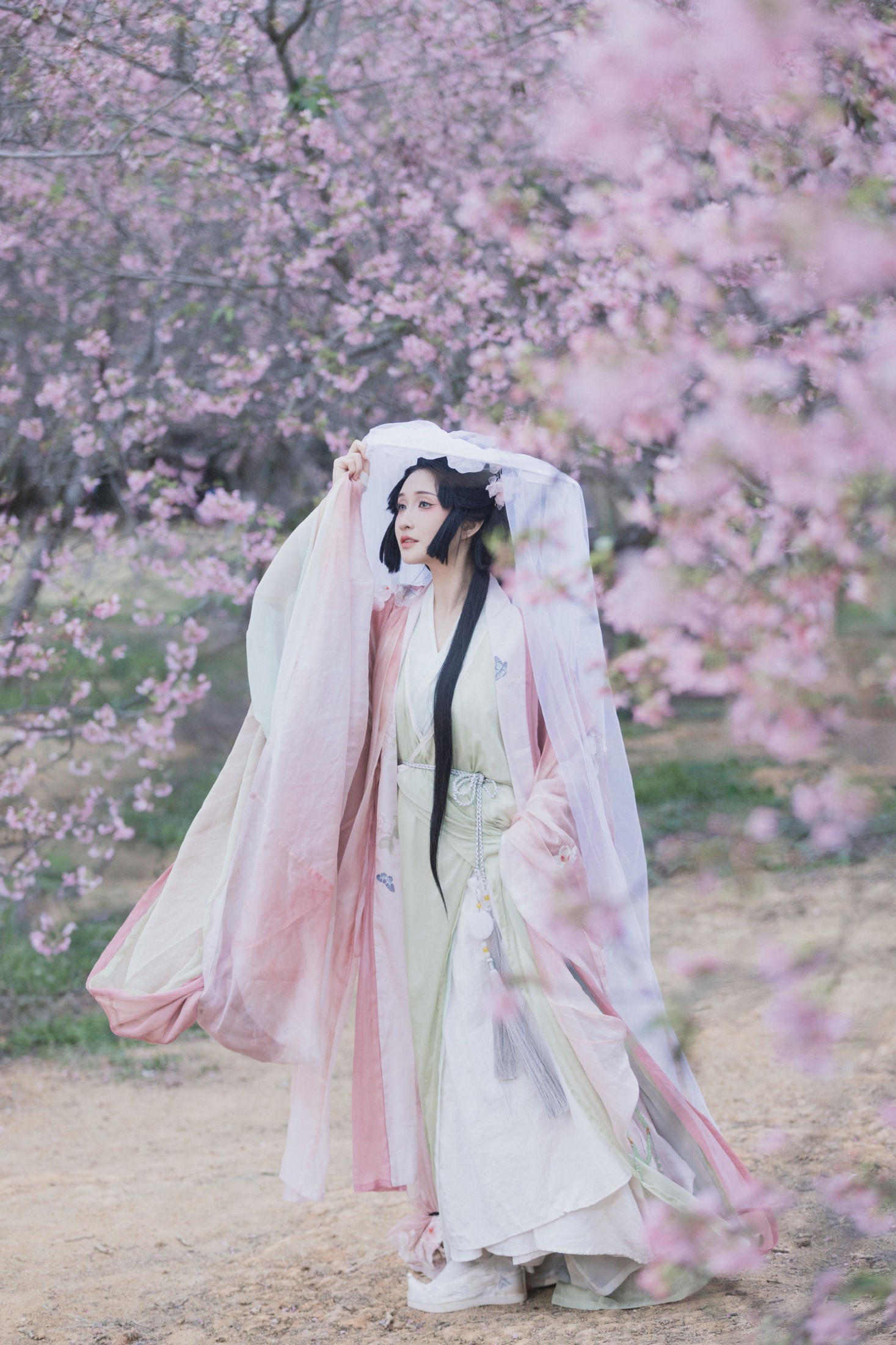 图片[3] - 希希 - 《落樱》[23P] - 机器猫次元 - 机器猫次元