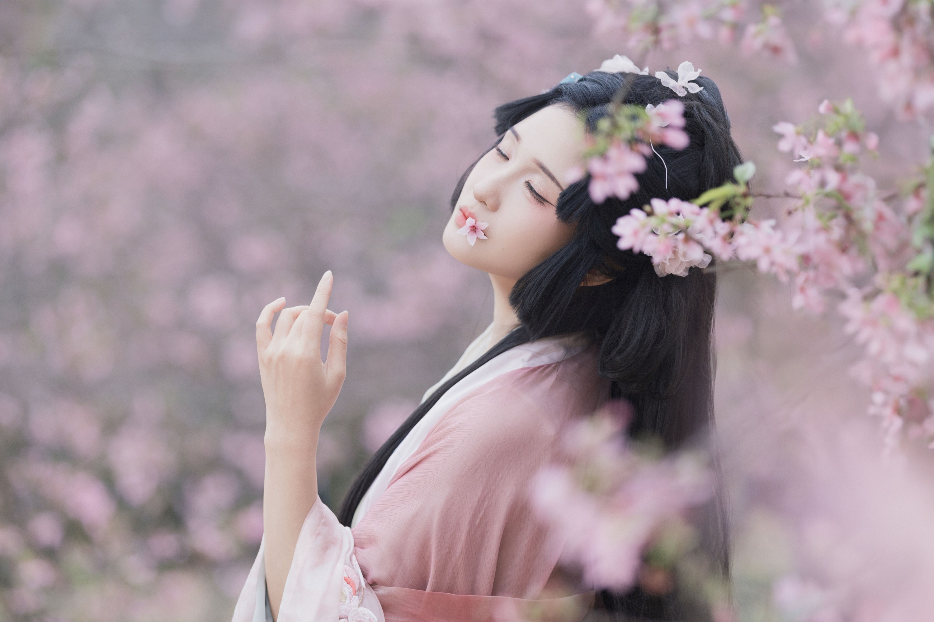 图片[8] - 希希 - 《落樱》[23P] - 机器猫次元 - 机器猫次元