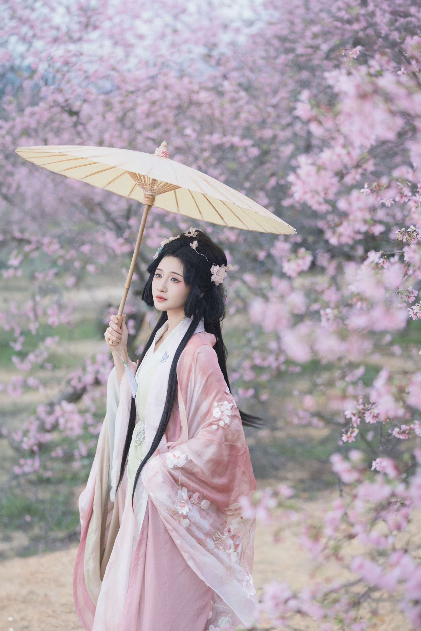 图片[7] - 希希 - 《落樱》[23P] - 机器猫次元 - 机器猫次元