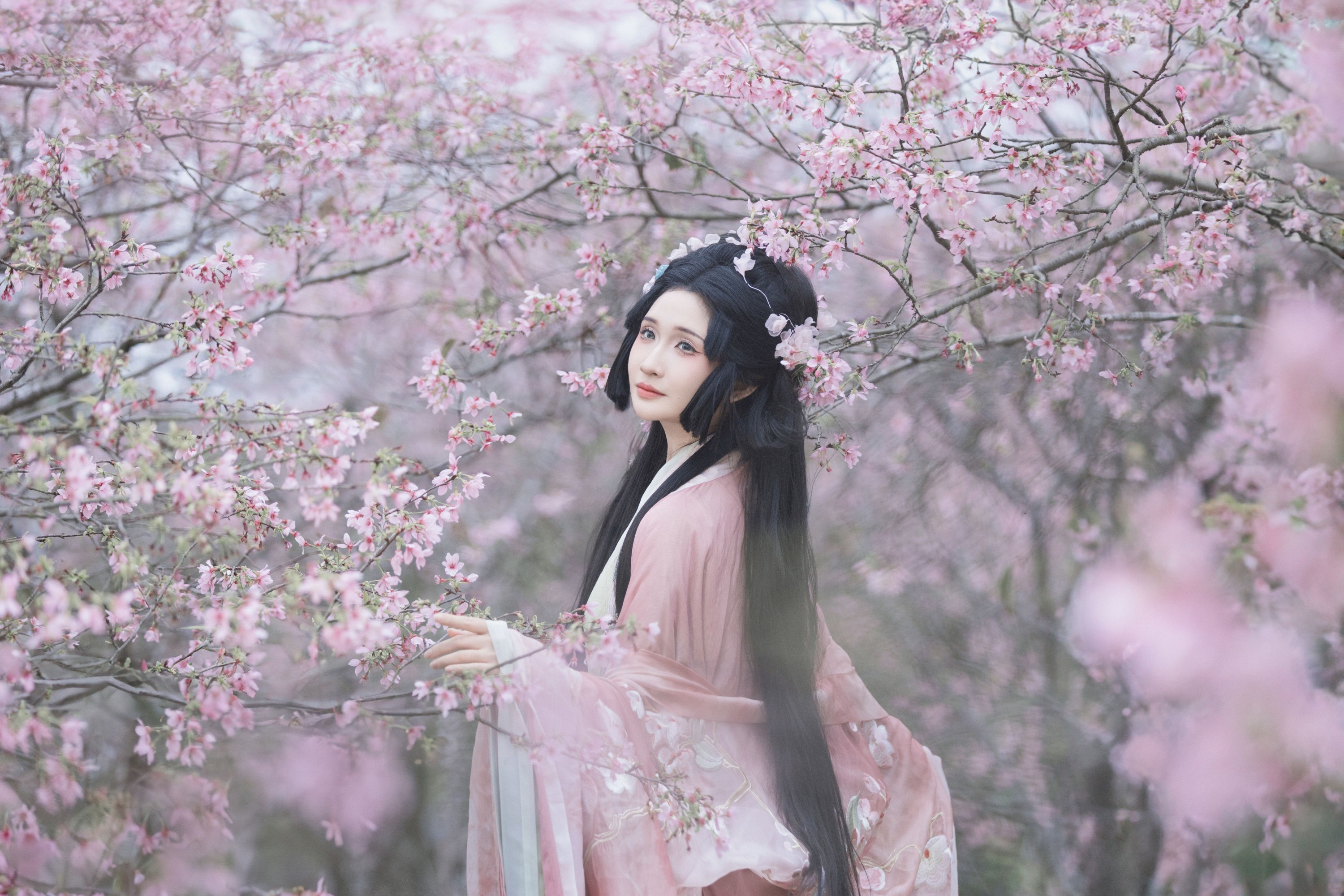图片[4] - 希希 - 《落樱》[23P] - 机器猫次元 - 机器猫次元
