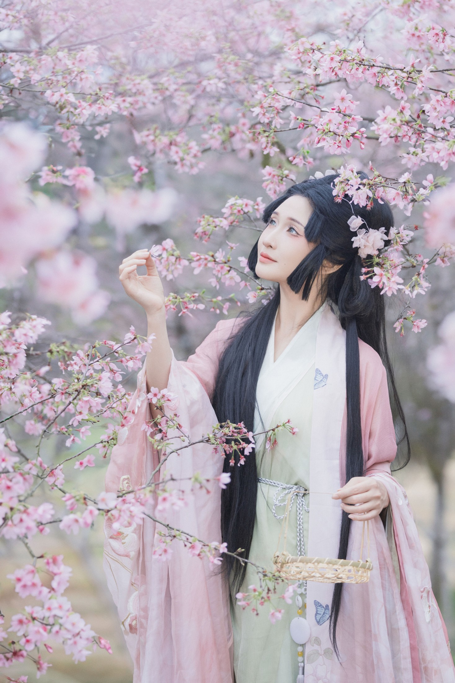 图片[5] - 希希 - 《落樱》[23P] - 机器猫次元 - 机器猫次元