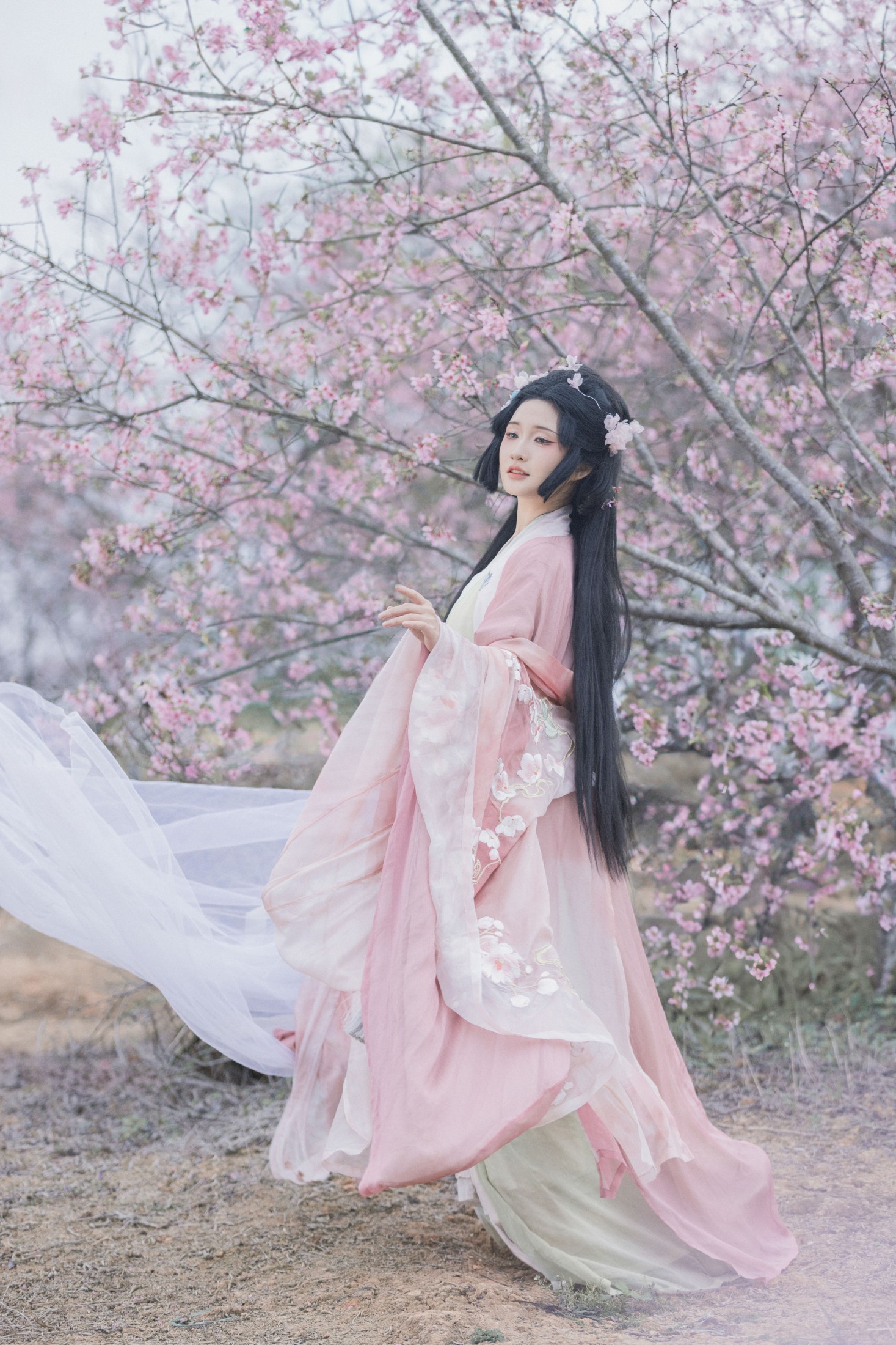 图片[6] - 希希 - 《落樱》[23P] - 机器猫次元 - 机器猫次元