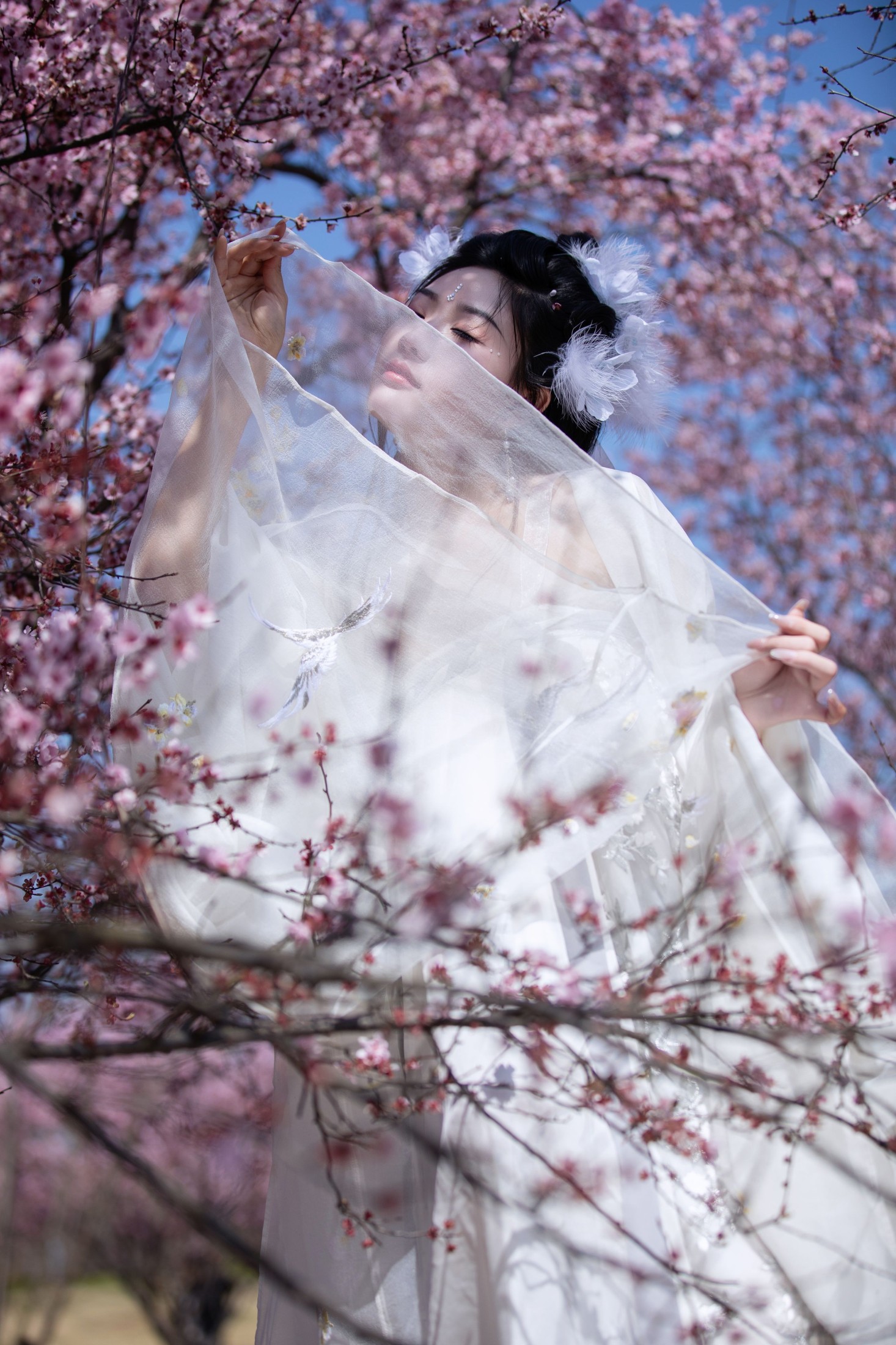 图片[6] - 桐沐沐 - 《赏清波》[21P] - 机器猫次元 - 机器猫次元