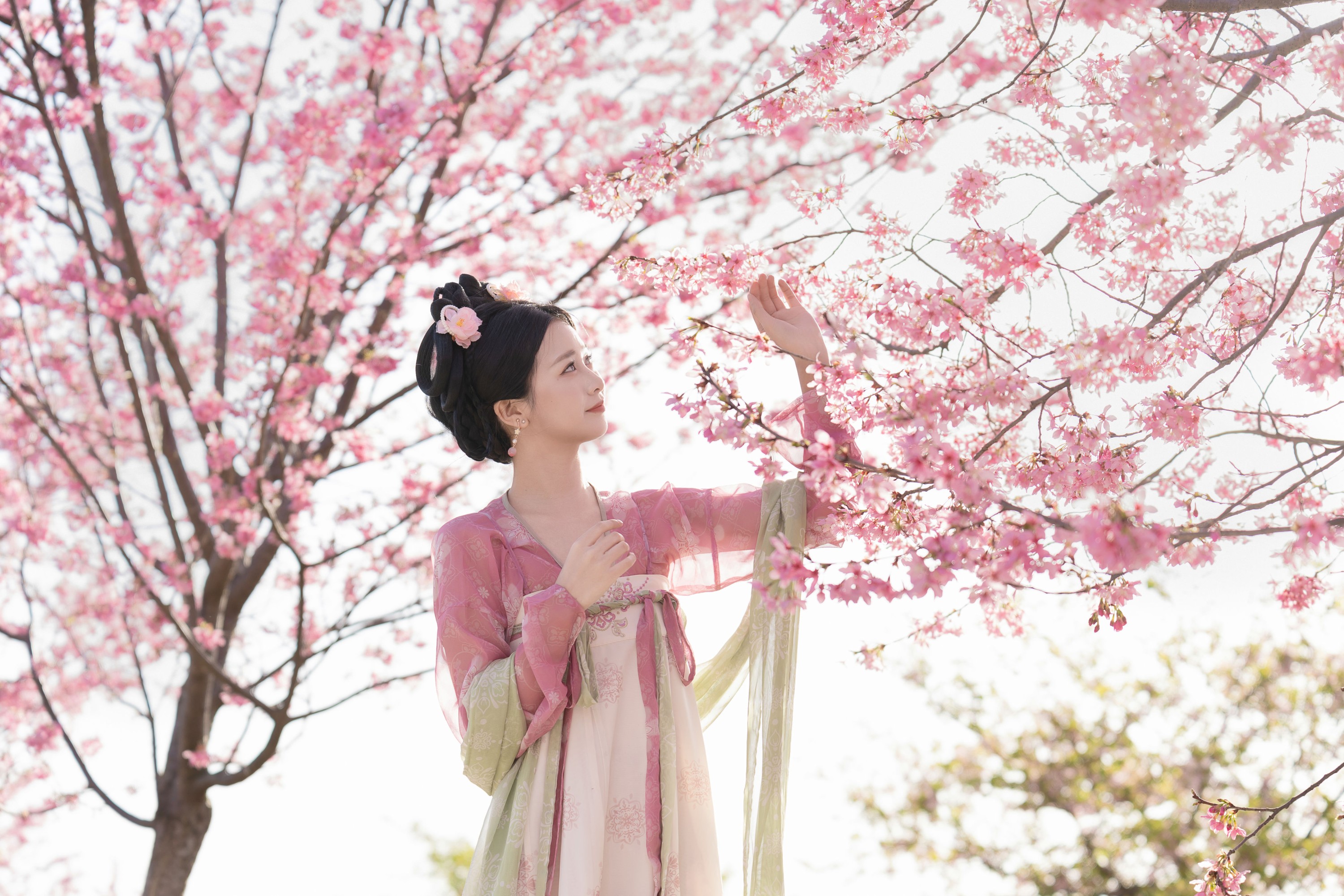 图片[7] - 橙子舒 - 《樱花汉服》[23P] - 机器猫次元 - 机器猫次元