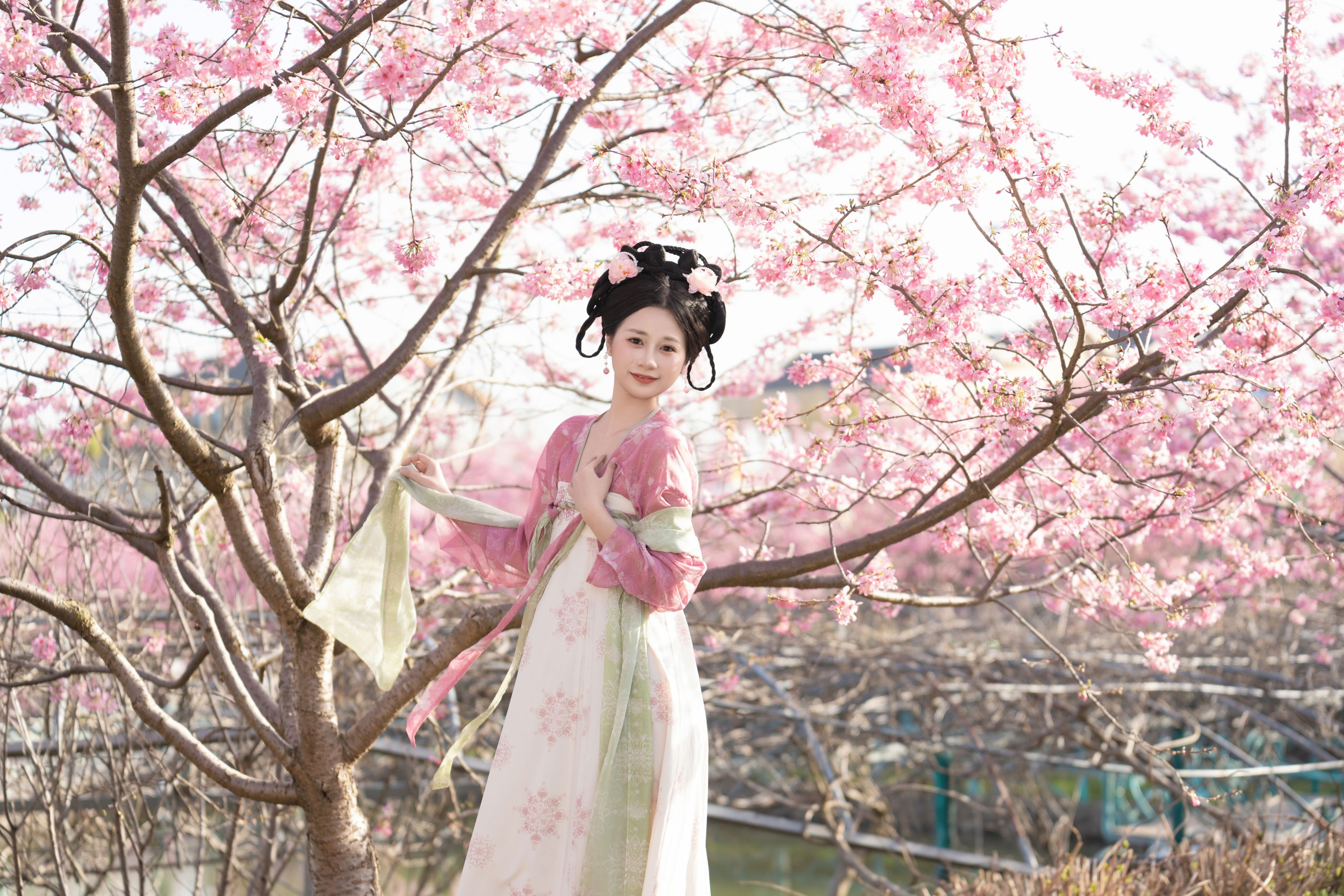 图片[3] - 橙子舒 - 《樱花汉服》[23P] - 机器猫次元 - 机器猫次元