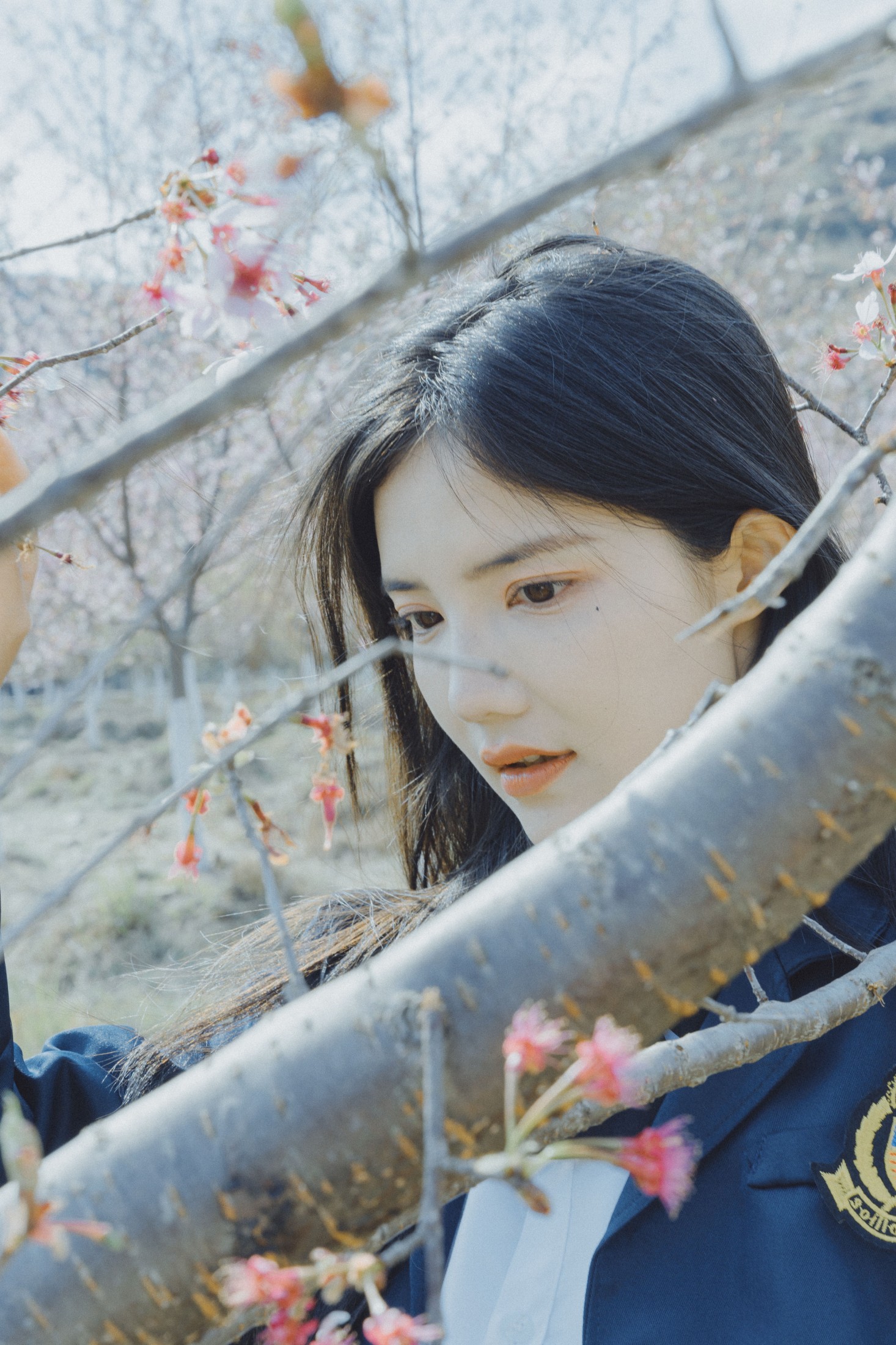 图片[5] - 多米Domy - 《樱花已开》[26P] - 机器猫次元 - 机器猫次元