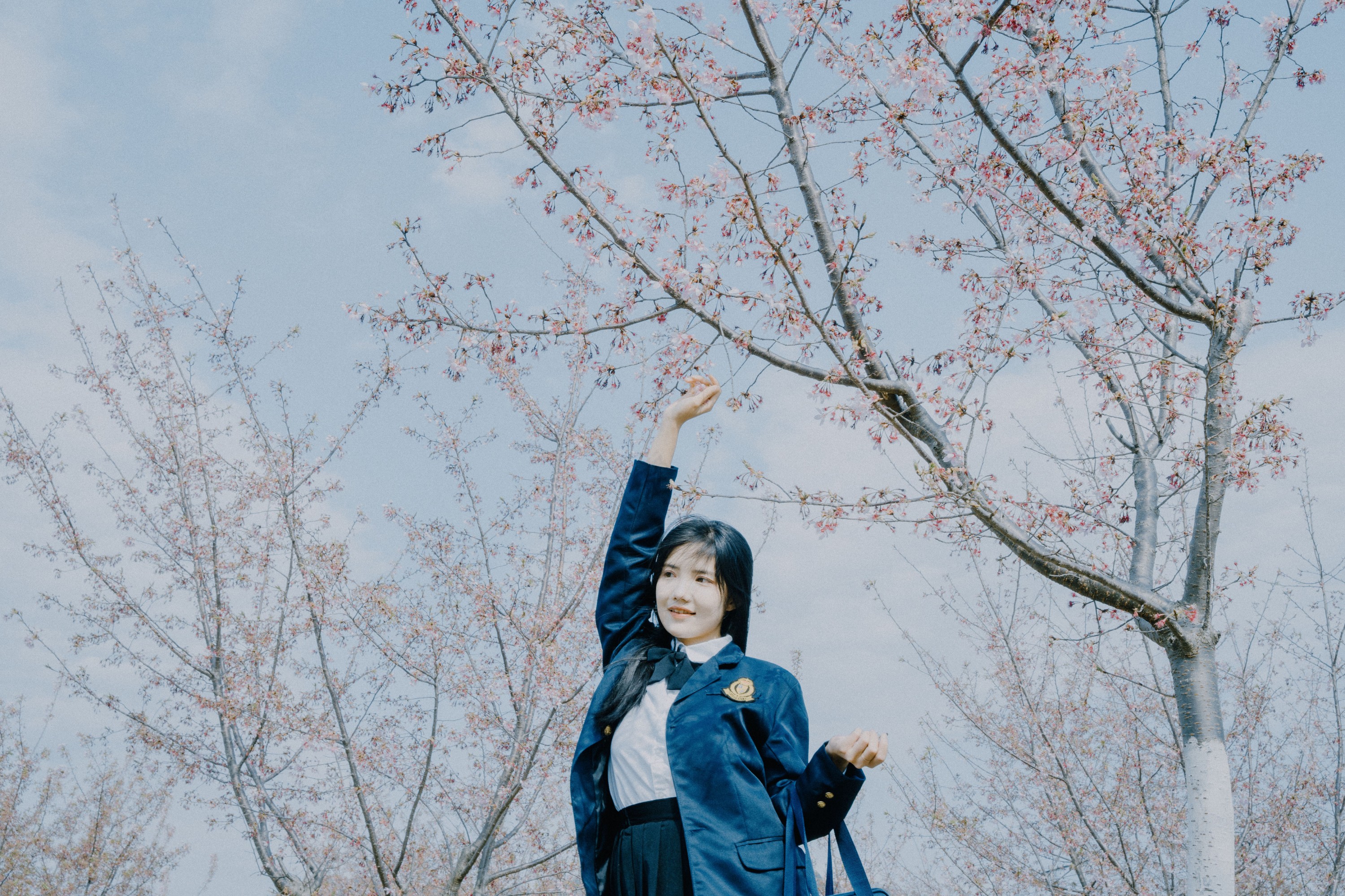 图片[8] - 多米Domy - 《樱花已开》[26P] - 机器猫次元 - 机器猫次元