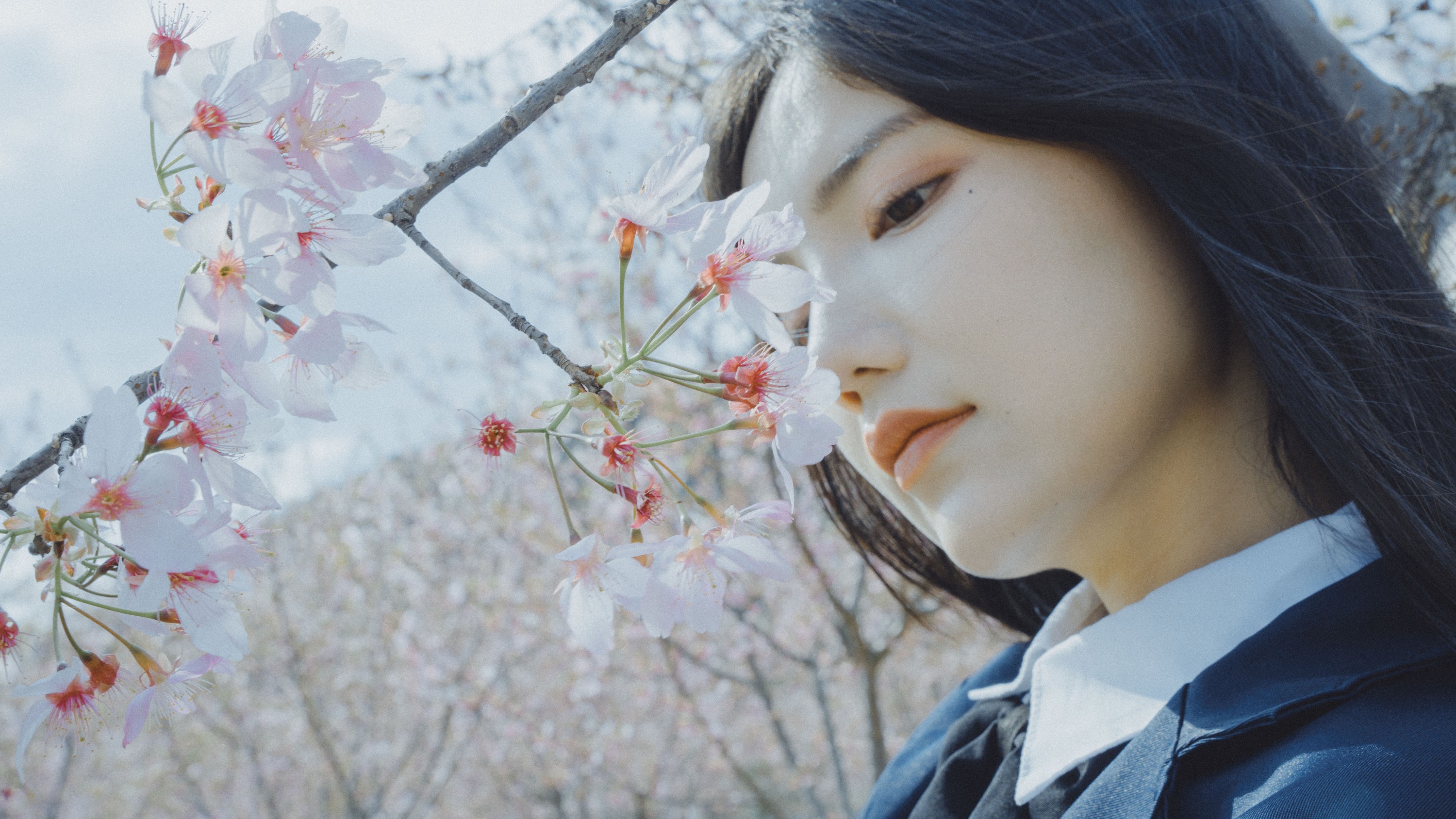 图片[4] - 多米Domy - 《樱花已开》[26P] - 机器猫次元 - 机器猫次元