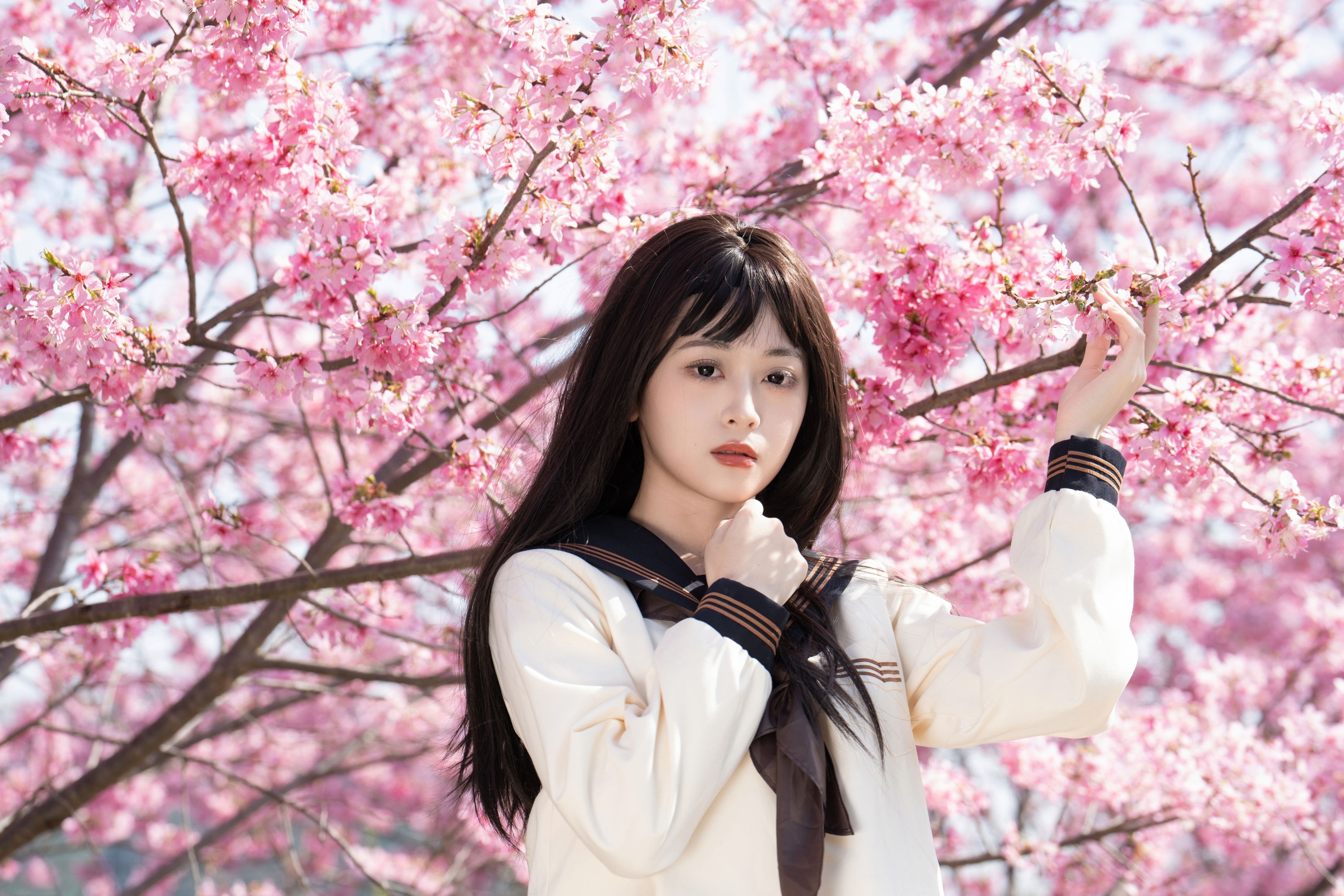 图片[3] - 安琪不吃香菇 - 《樱花少女》[27P] - 机器猫次元 - 机器猫次元