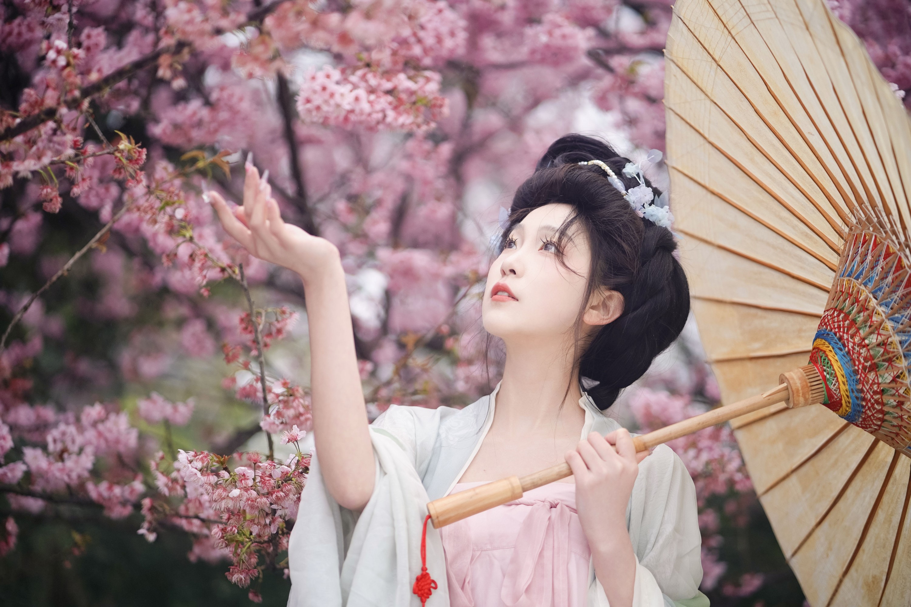 图片[5] - 树芊忆 - 《春樱》[23P] - 机器猫次元 - 机器猫次元