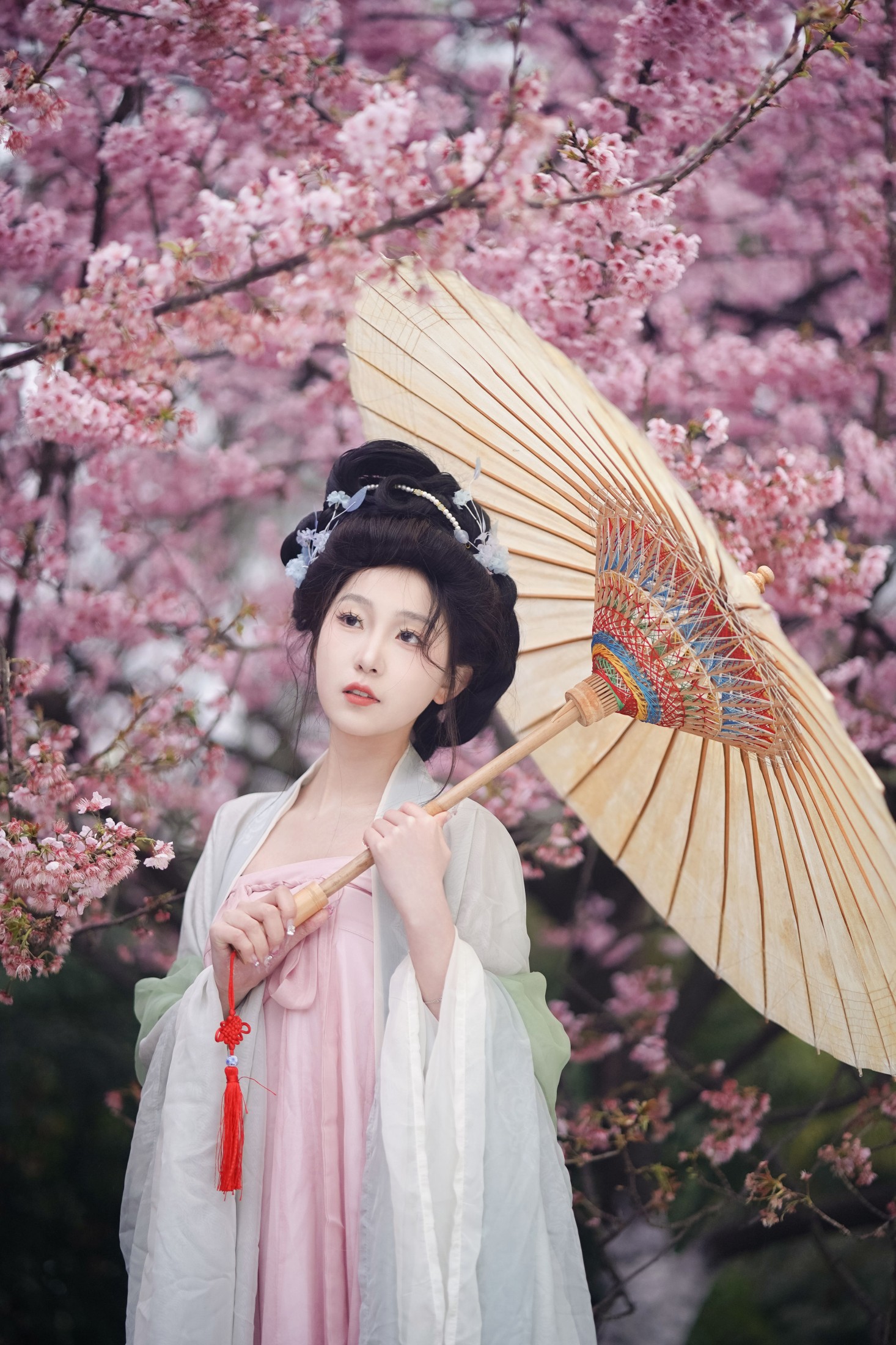图片[3] - 树芊忆 - 《春樱》[23P] - 机器猫次元 - 机器猫次元