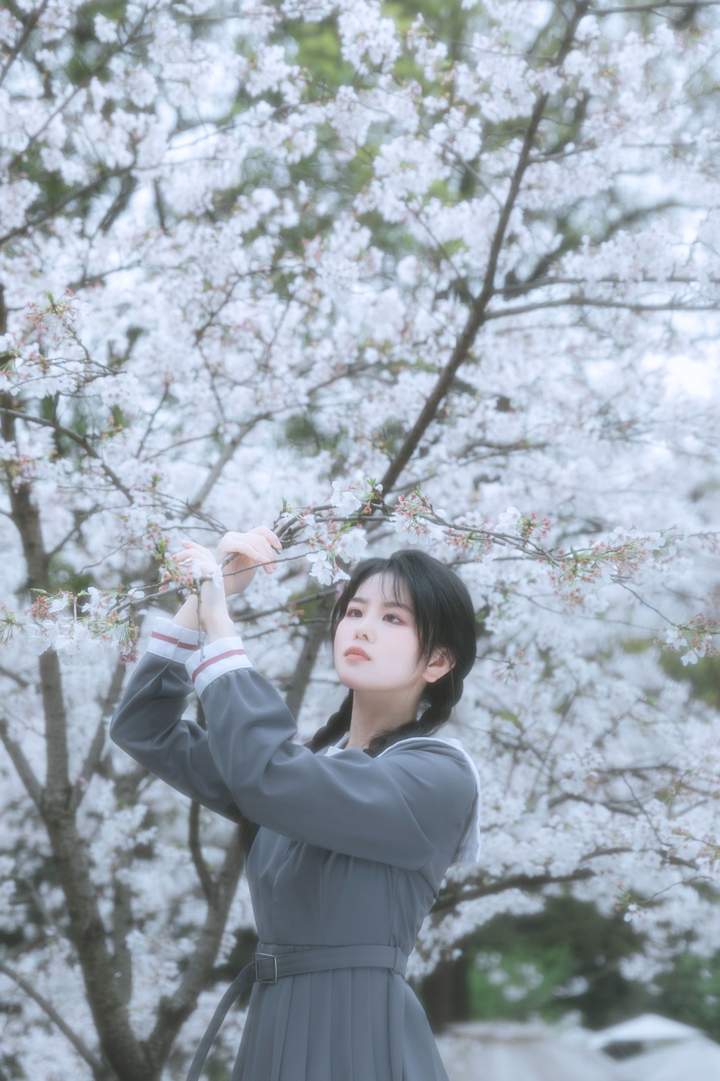图片[4] - 牛奶 - 《少女与花》[22P] - 机器猫次元 - 机器猫次元