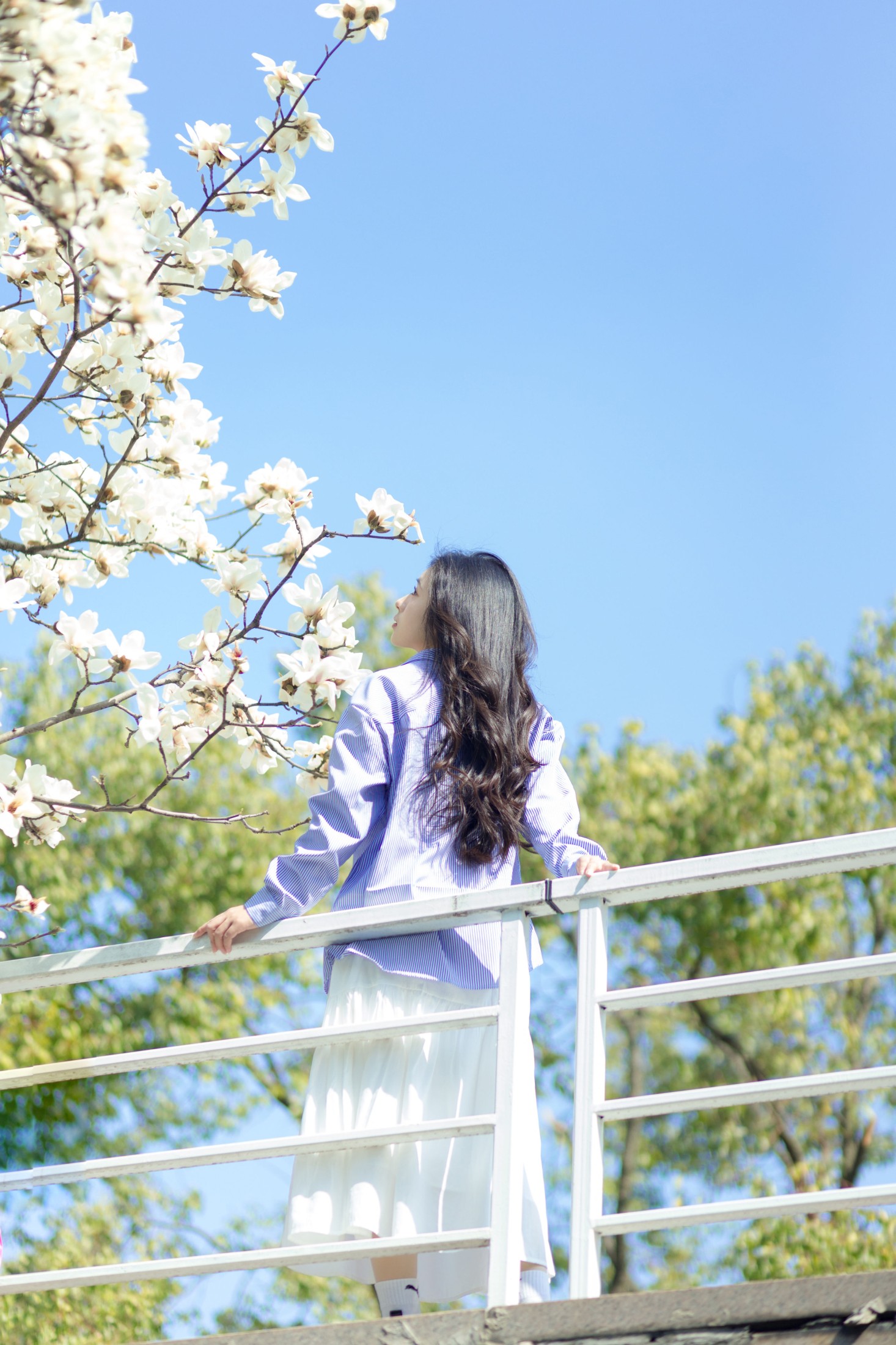图片[3] - 木柚柚 - 《春和景明》[25P] - 机器猫次元 - 机器猫次元