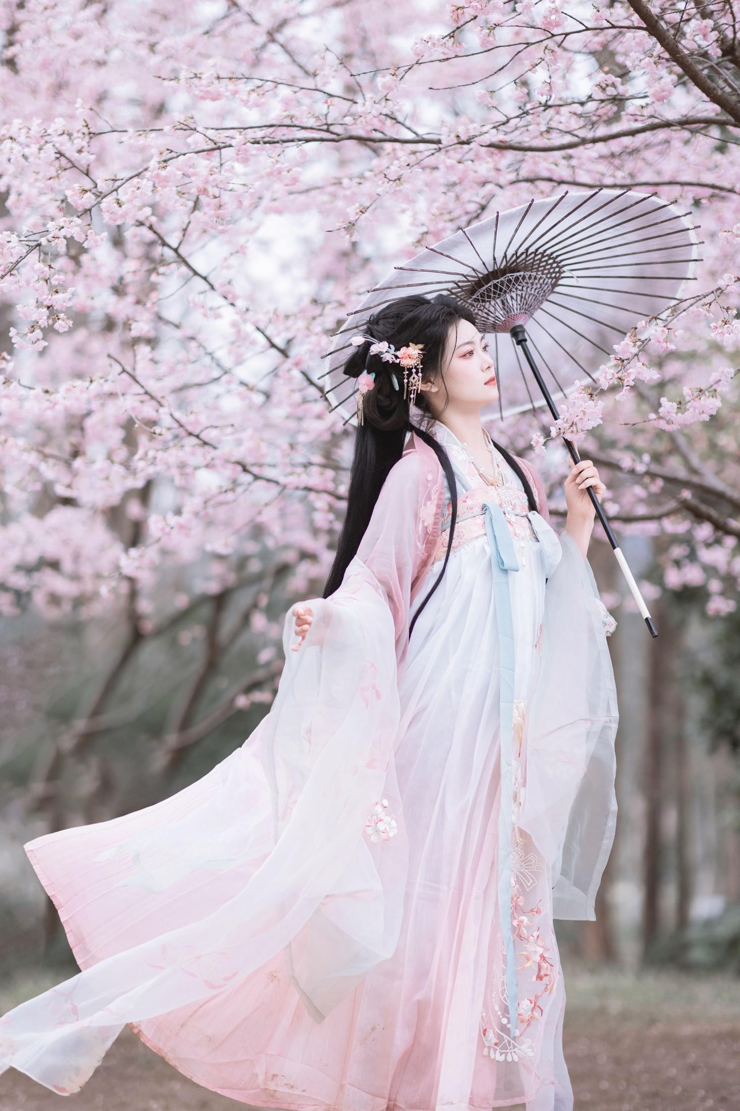 图片[6] - 昔让 - 《春之樱》[21P] - 机器猫次元 - 机器猫次元