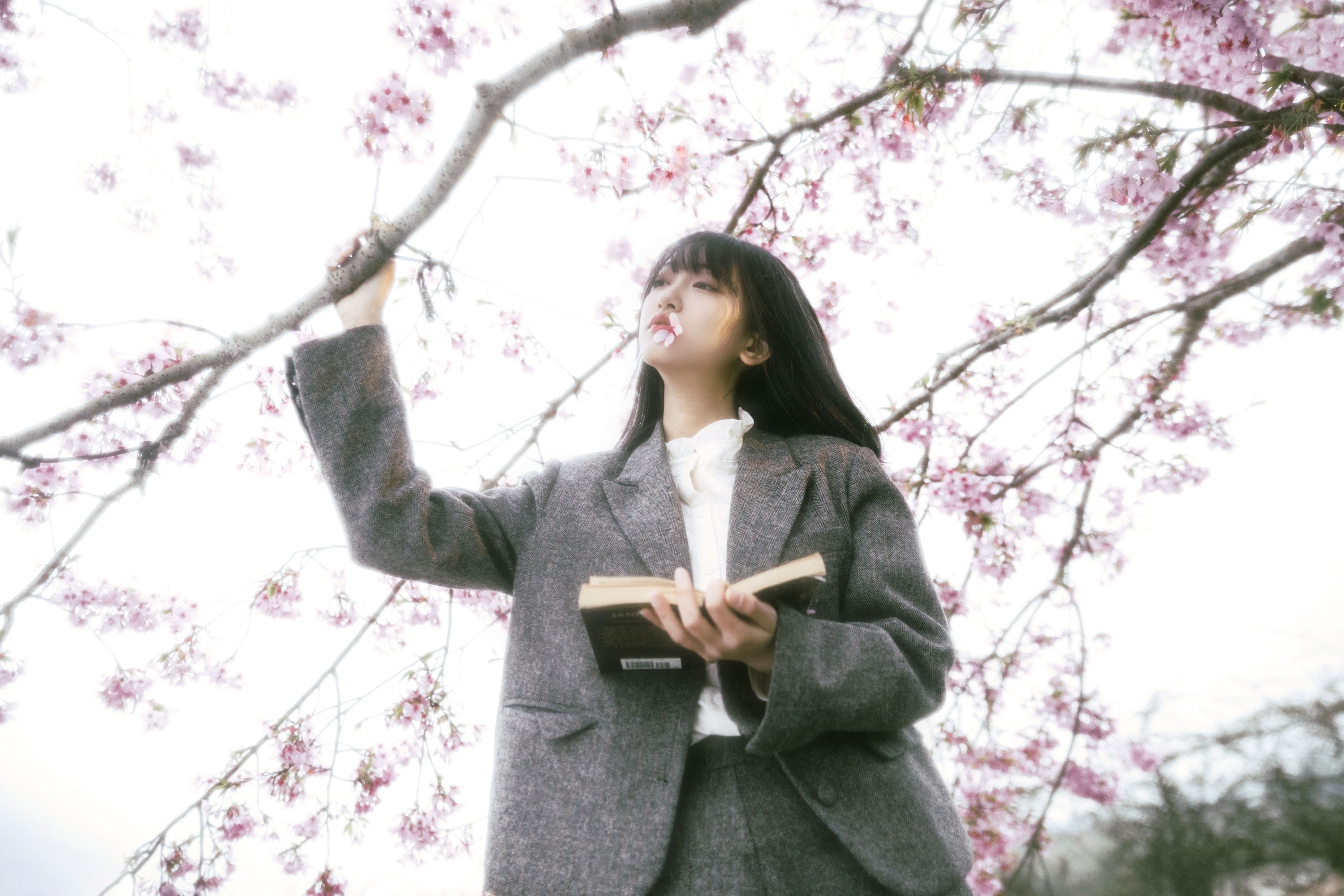 图片[6] - 冷酷王爷 - 《春的信》[24P] - 机器猫次元 - 机器猫次元