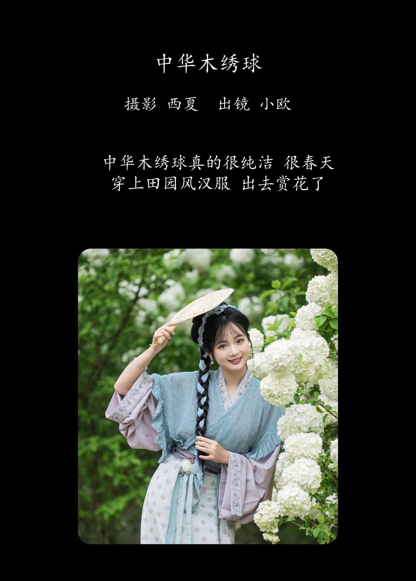 图片[2] - 小欧O - 《中华木绣球》[24P] - 机器猫次元 - 机器猫次元