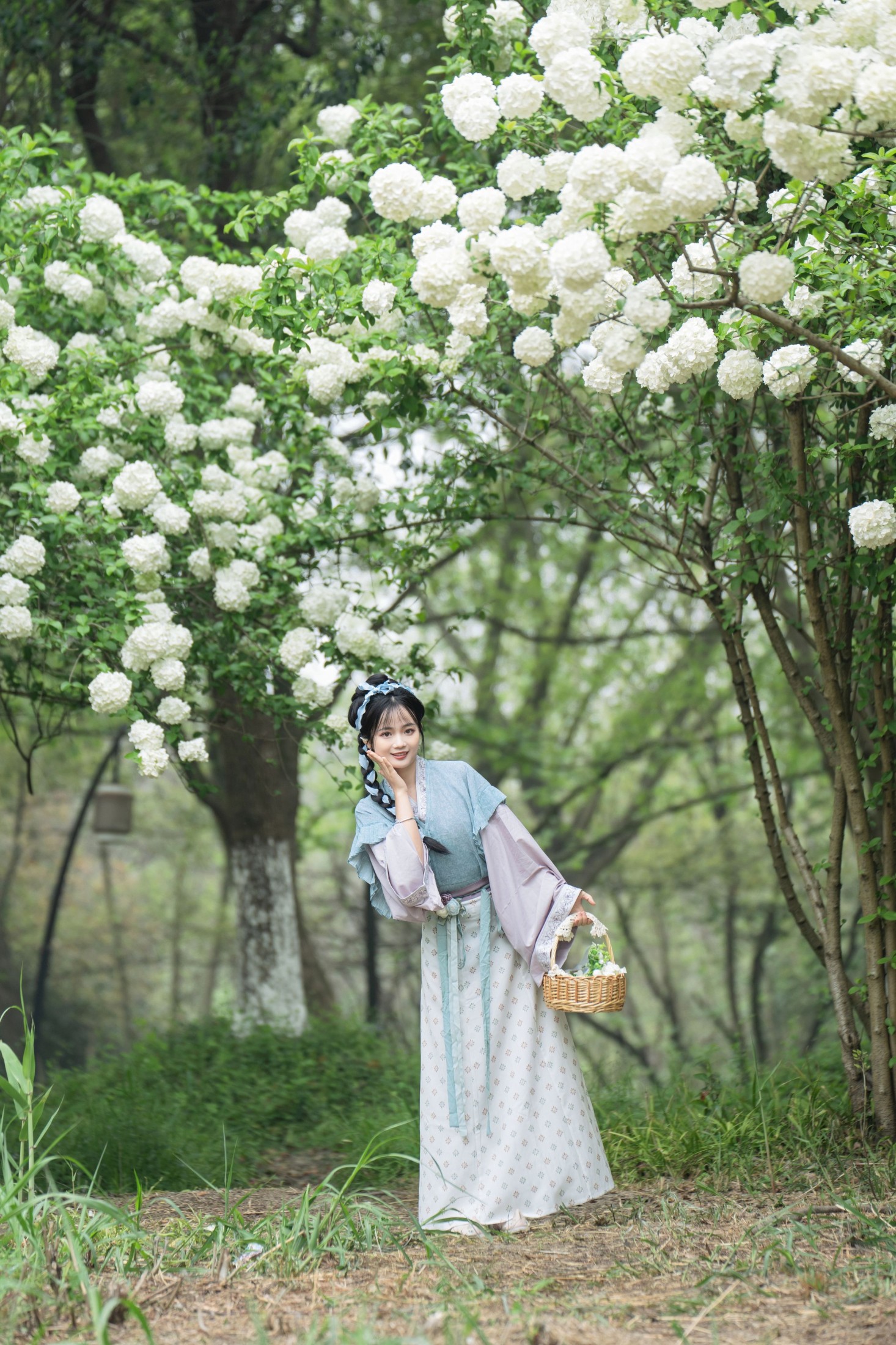 图片[8] - 小欧O - 《中华木绣球》[24P] - 机器猫次元 - 机器猫次元