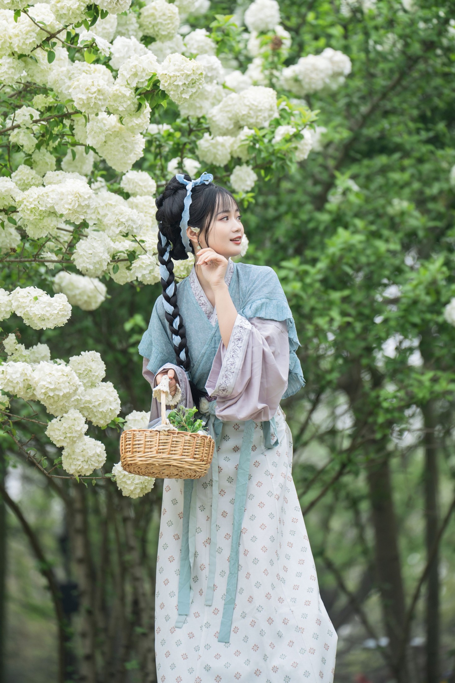 图片[7] - 小欧O - 《中华木绣球》[24P] - 机器猫次元 - 机器猫次元