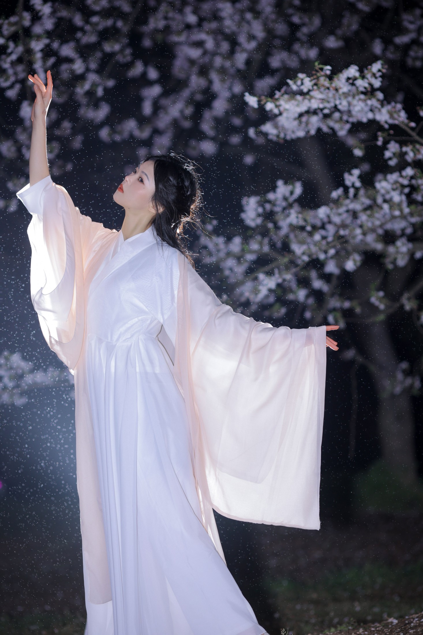 图片[5] - 小羊 - 《夜樱》[23P] - 机器猫次元 - 机器猫次元