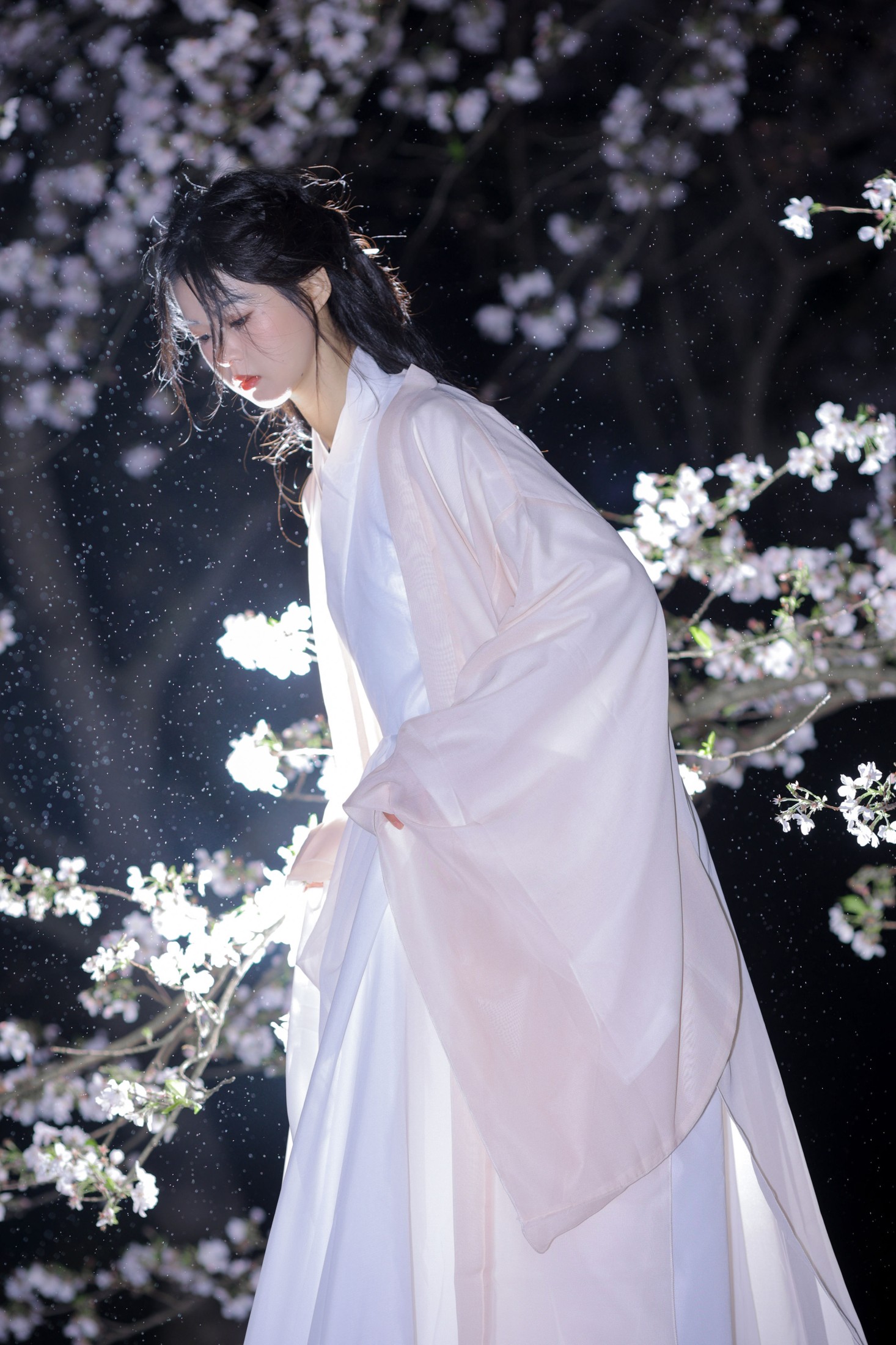 图片[6] - 小羊 - 《夜樱》[23P] - 机器猫次元 - 机器猫次元