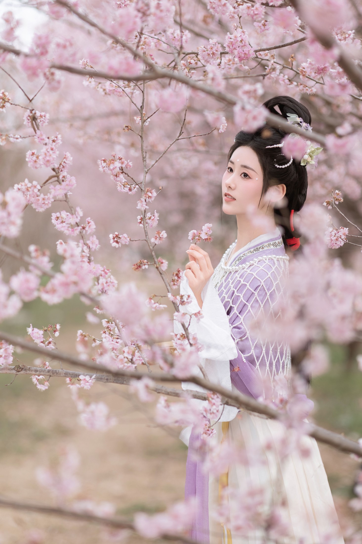 图片[5] - 人间月-素尘 - 《春日赏樱》[30P] - 机器猫次元 - 机器猫次元