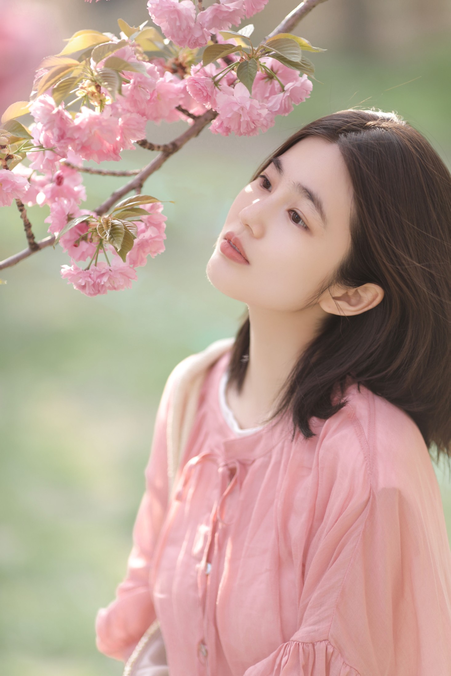 图片[4] - 凡凡 - 《晚樱》[26P] - 机器猫次元 - 机器猫次元