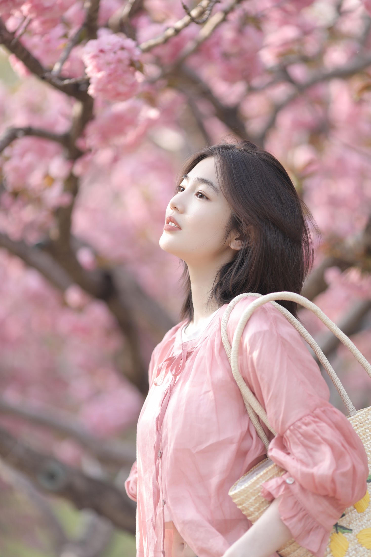 图片[3] - 凡凡 - 《晚樱》[26P] - 机器猫次元 - 机器猫次元