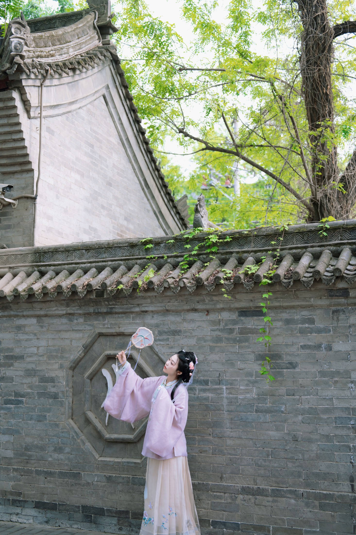 图片[8] - 生锈银 - 《春日宴，绿酒一杯歌一遍》[21P] - 机器猫次元 - 机器猫次元