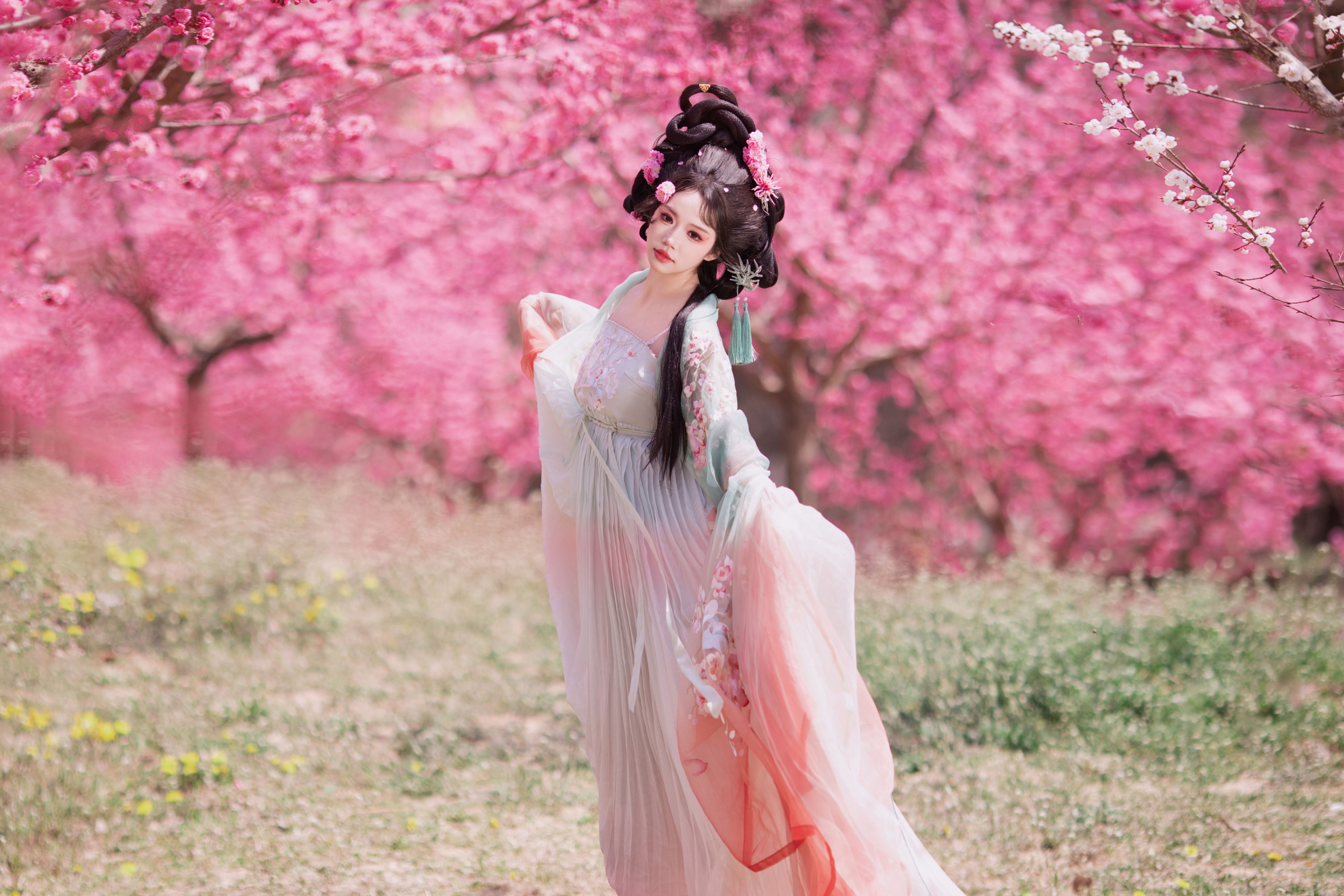 图片[3] - 欢欢 - 《十二花神之梅花》[22P] - 机器猫次元 - 机器猫次元