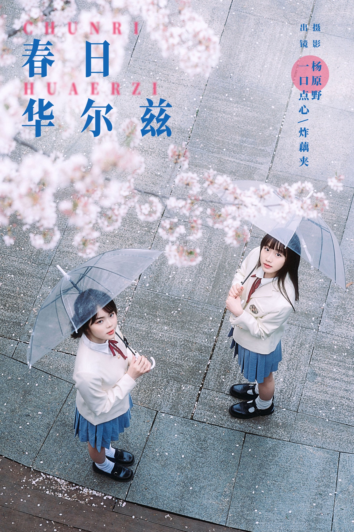 图片[1] - 一口点心 炸藕夹 - 《春日华尔兹》[20P] - 机器猫次元 - 机器猫次元