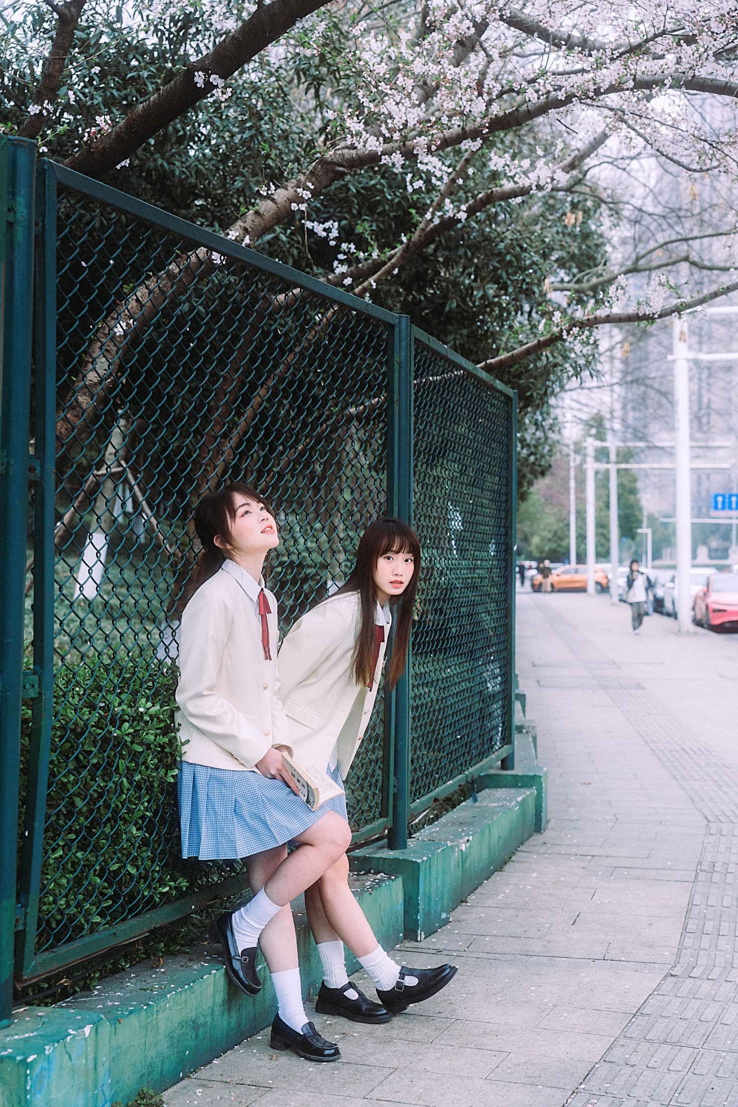 图片[6] - 一口点心 炸藕夹 - 《春日华尔兹》[20P] - 机器猫次元 - 机器猫次元