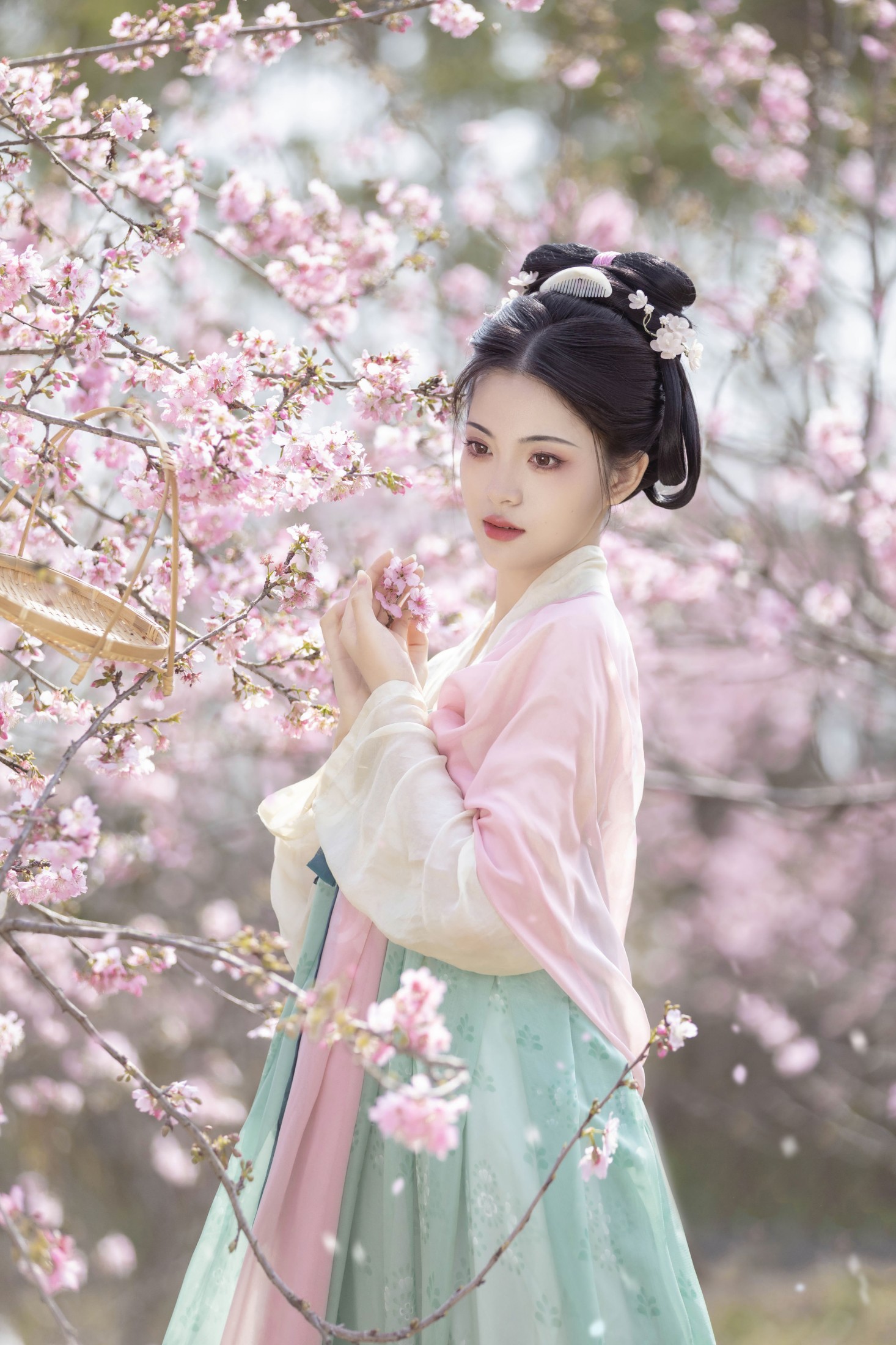 图片[3] - 二月雪雪 - 《春樱》[22P] - 机器猫次元 - 机器猫次元