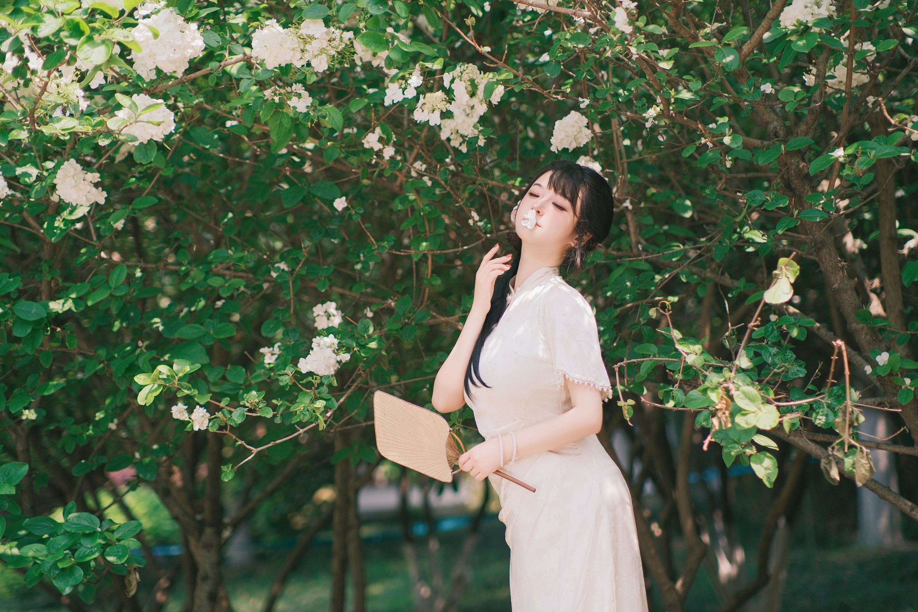 图片[8] - 不可爱的禾禾喵 - 《花落白》[34P] - 机器猫次元 - 机器猫次元