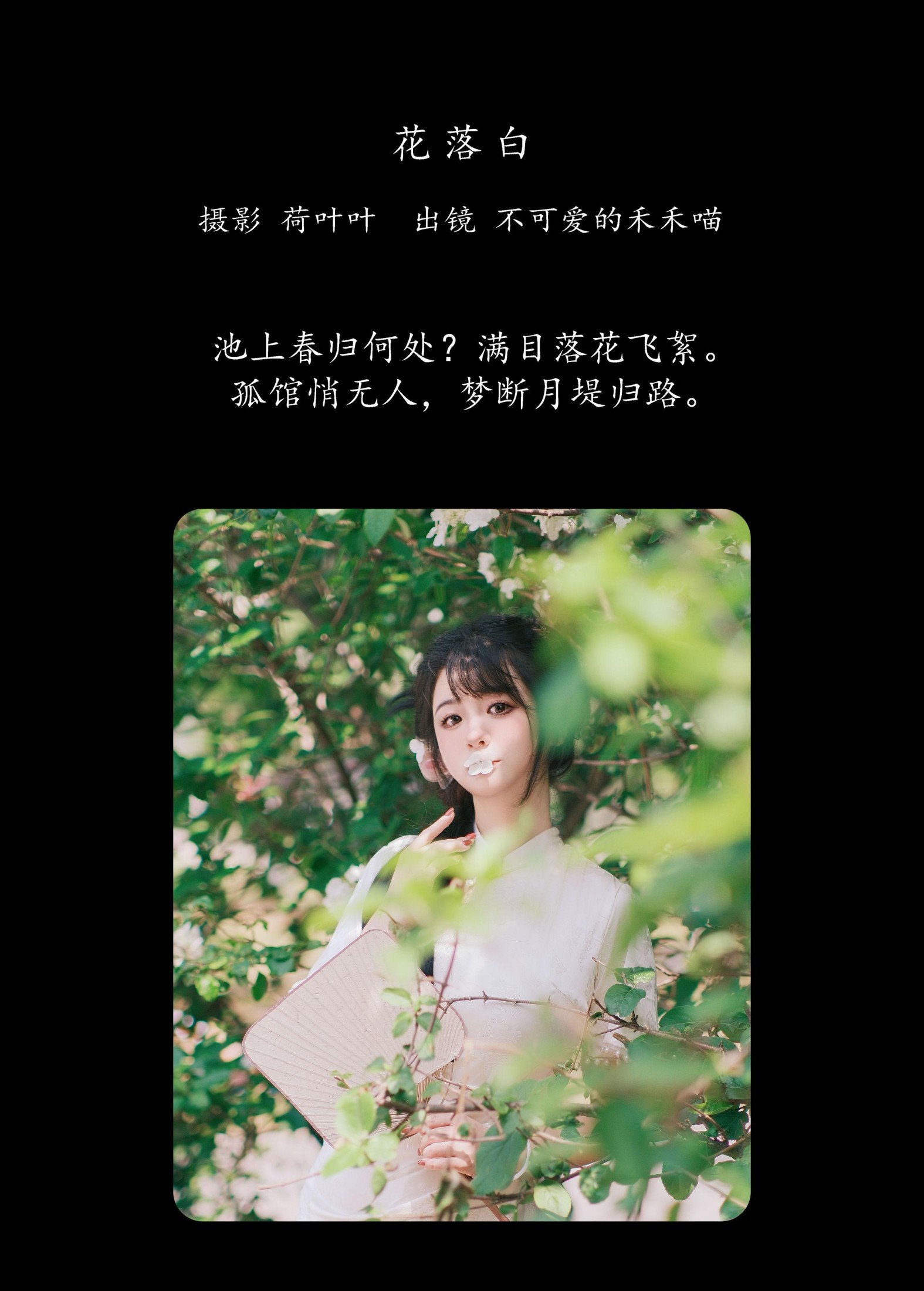 图片[2] - 不可爱的禾禾喵 - 《花落白》[34P] - 机器猫次元 - 机器猫次元